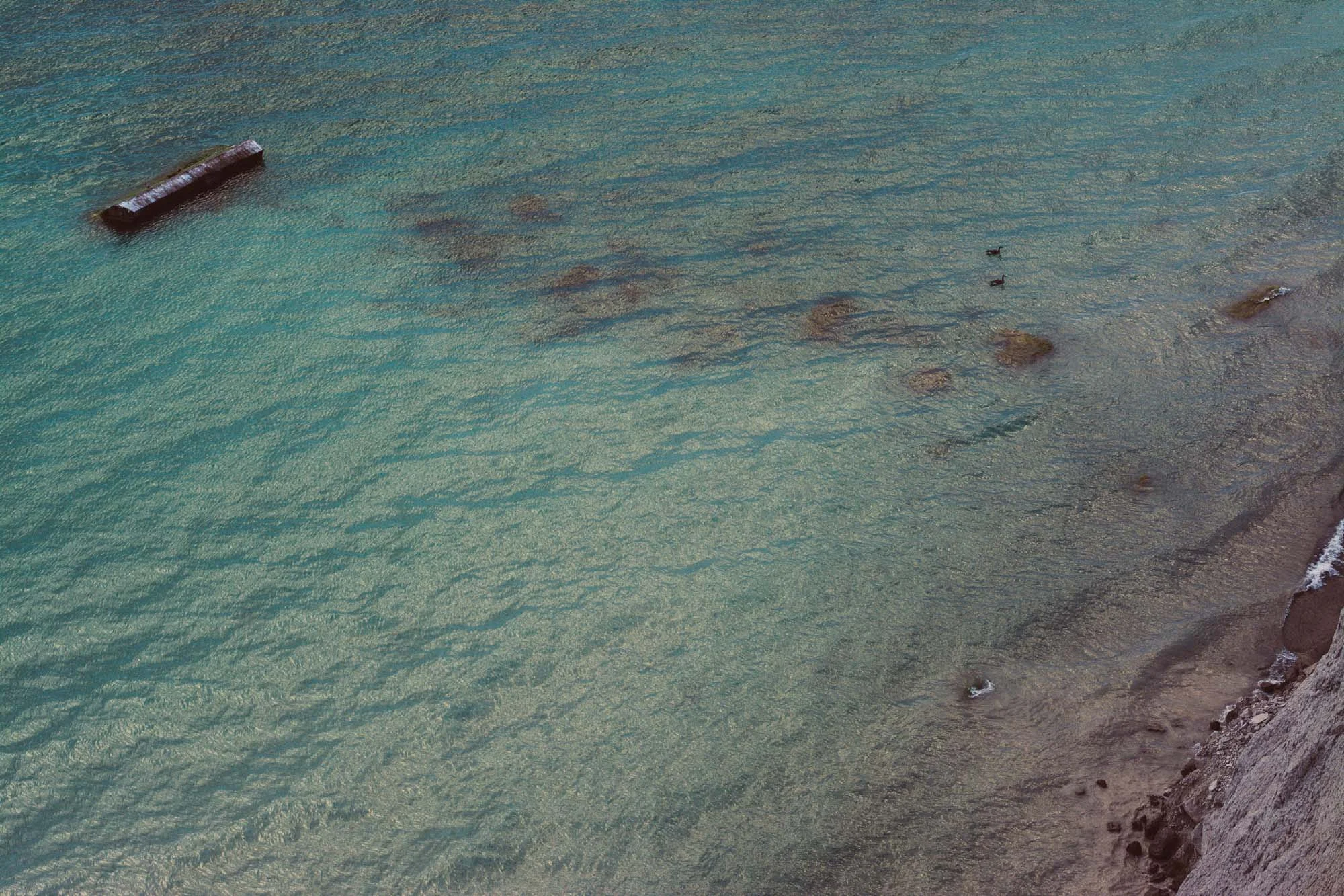 _DSC9031.jpg