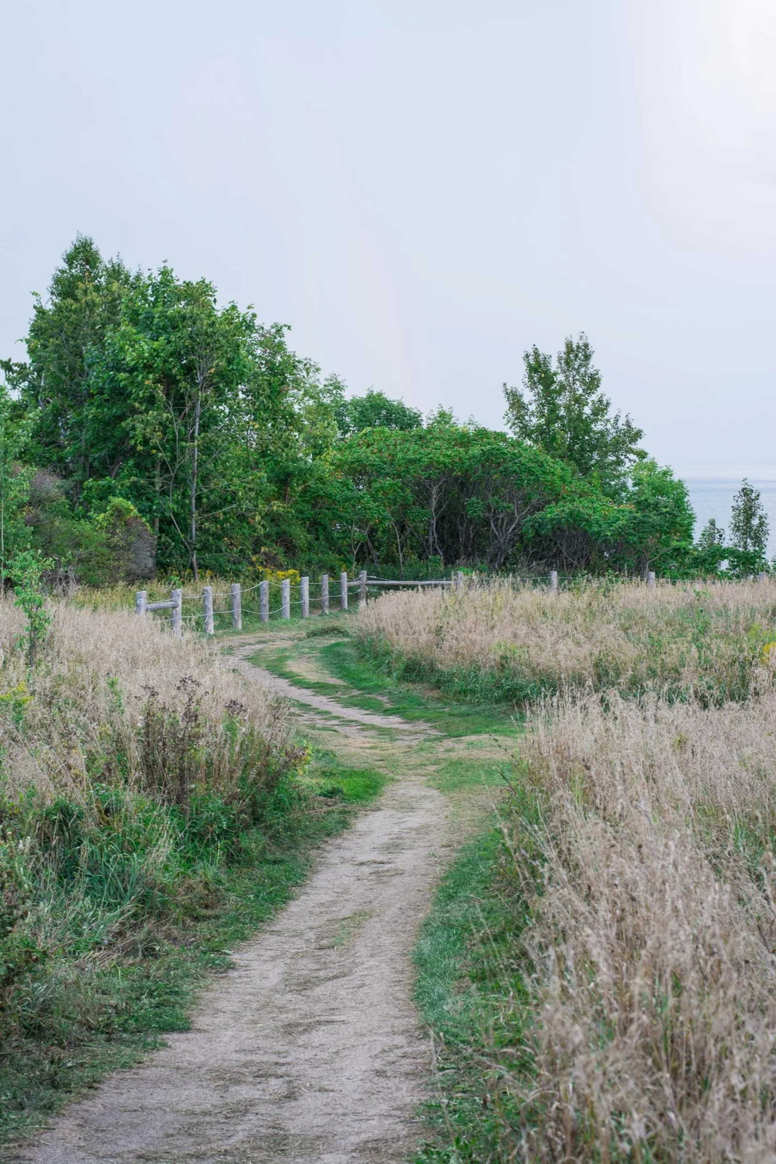_DSC9012.jpg