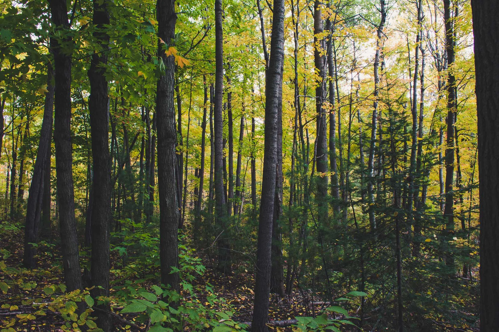 _DSC9188.jpg
