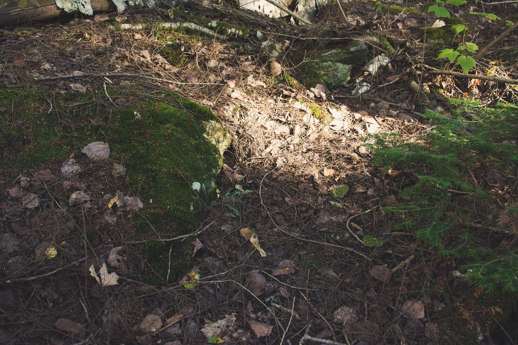 _DSC9303.jpg