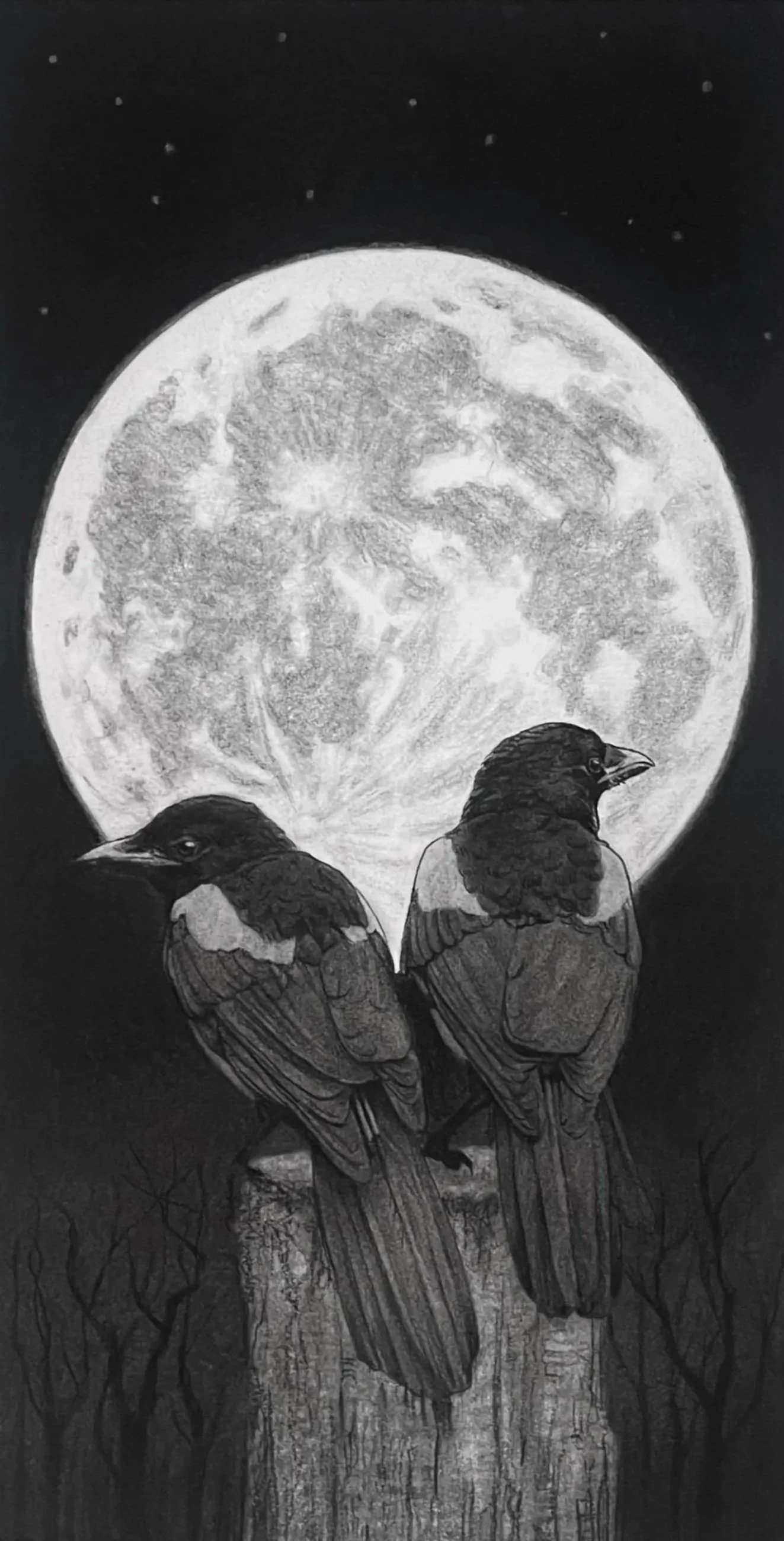A black and white drawing of two birds perched on a piece of wood, with a full moon in the background and stars in the night sky.