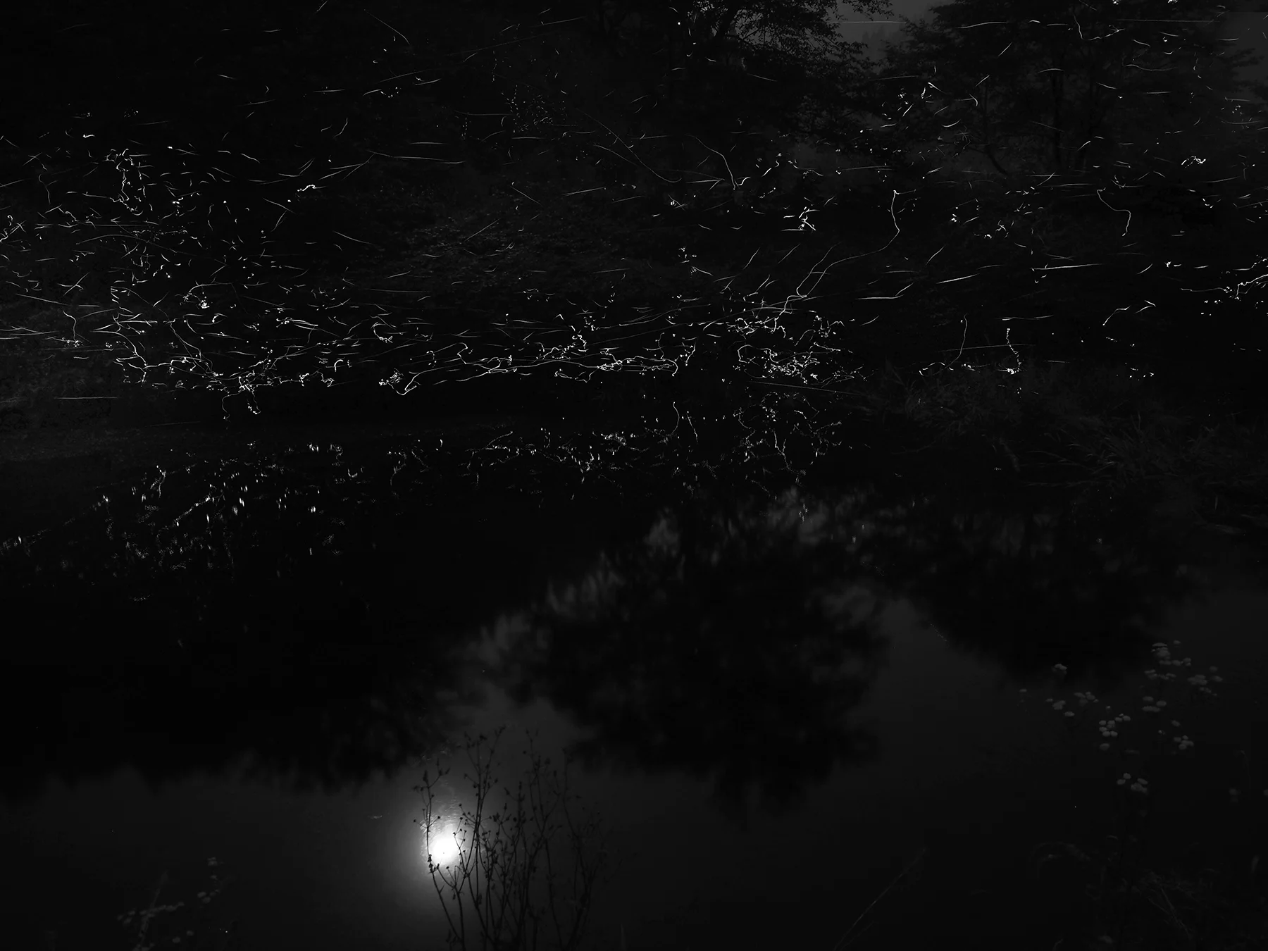 1806_079-0715brutSFXhmbg18.jpg