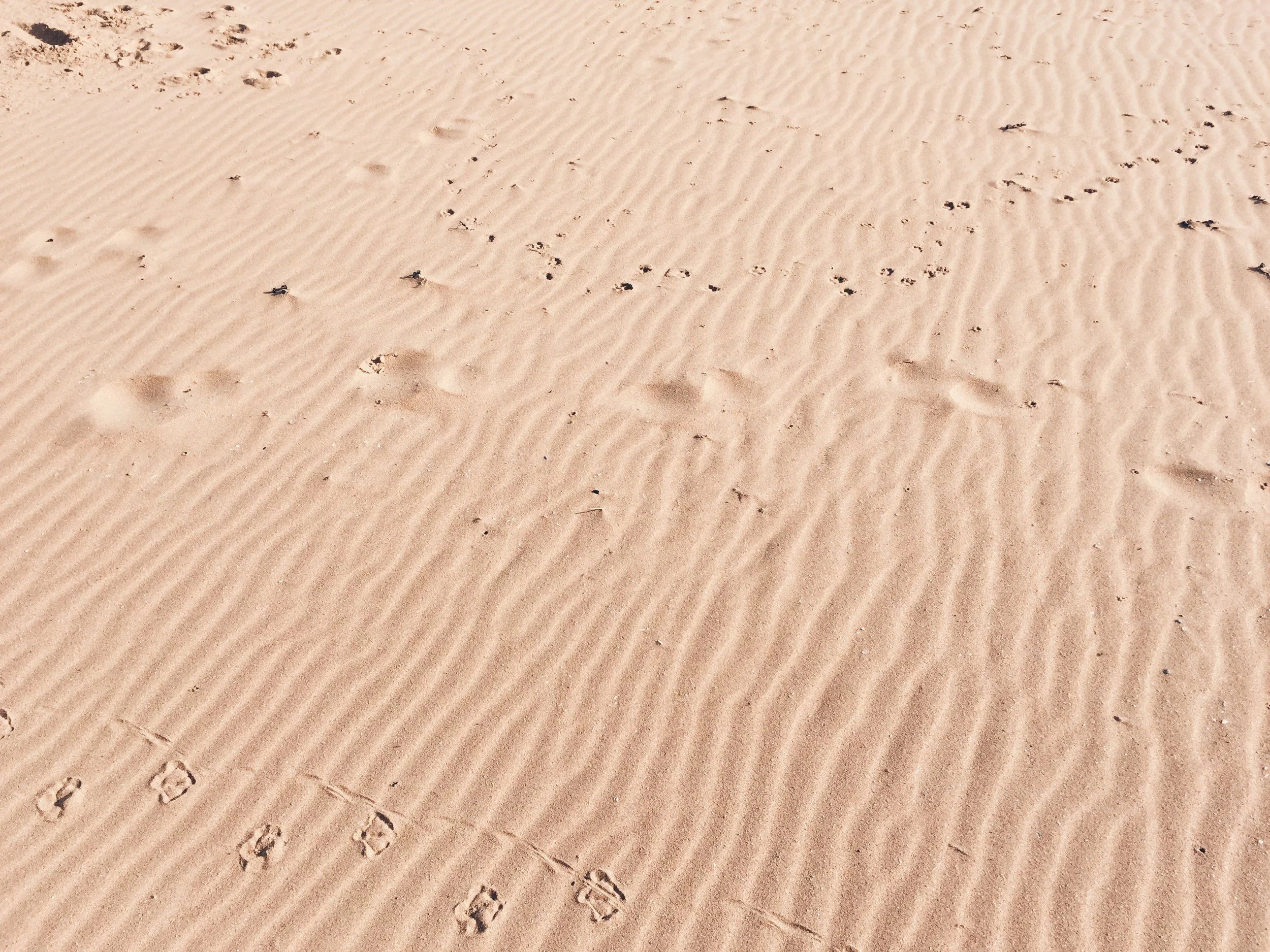 WELCOME TO NUMBER NINE