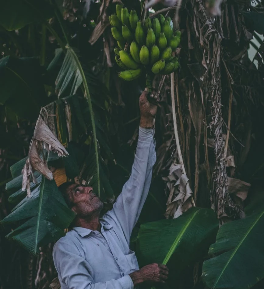 Fair Trade Month 2018