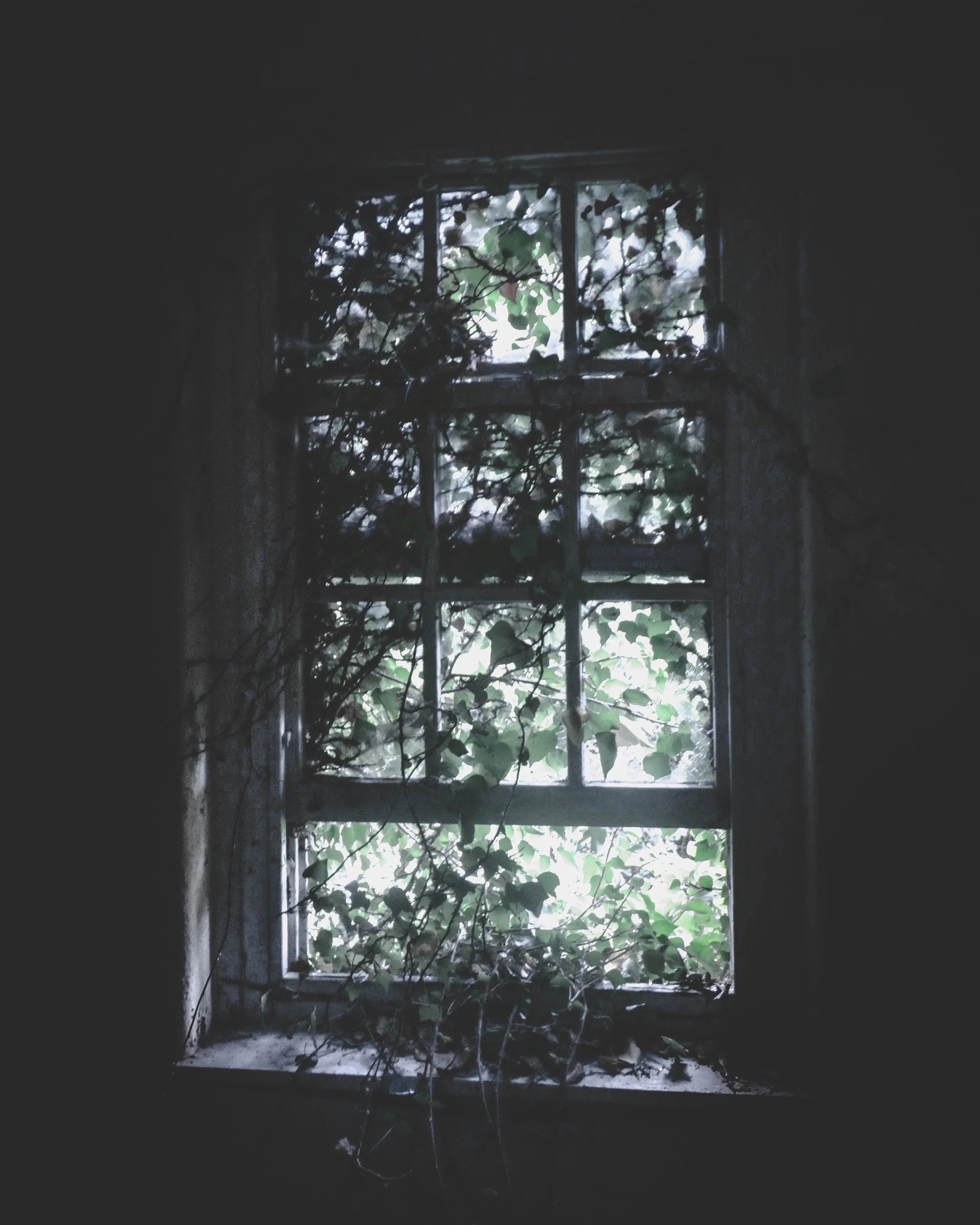abandoned-abandoned-building-black-and-white-761529.jpg