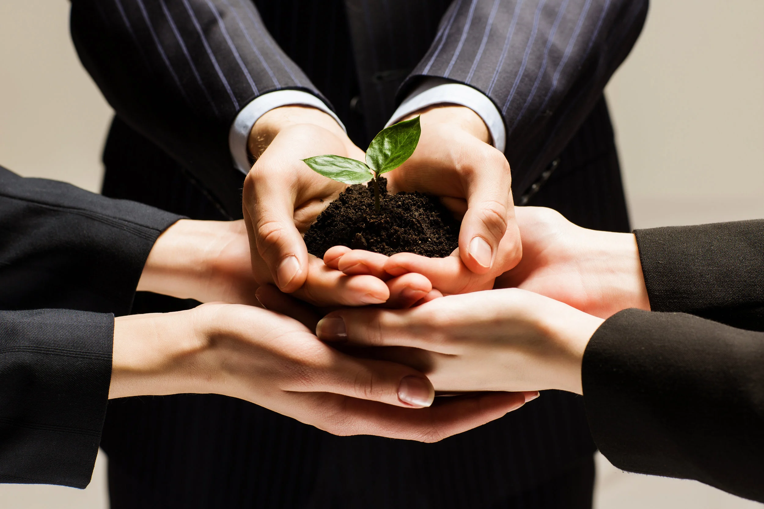 The-Ins-and-Outs-of-Vendor-Partnership.jpg