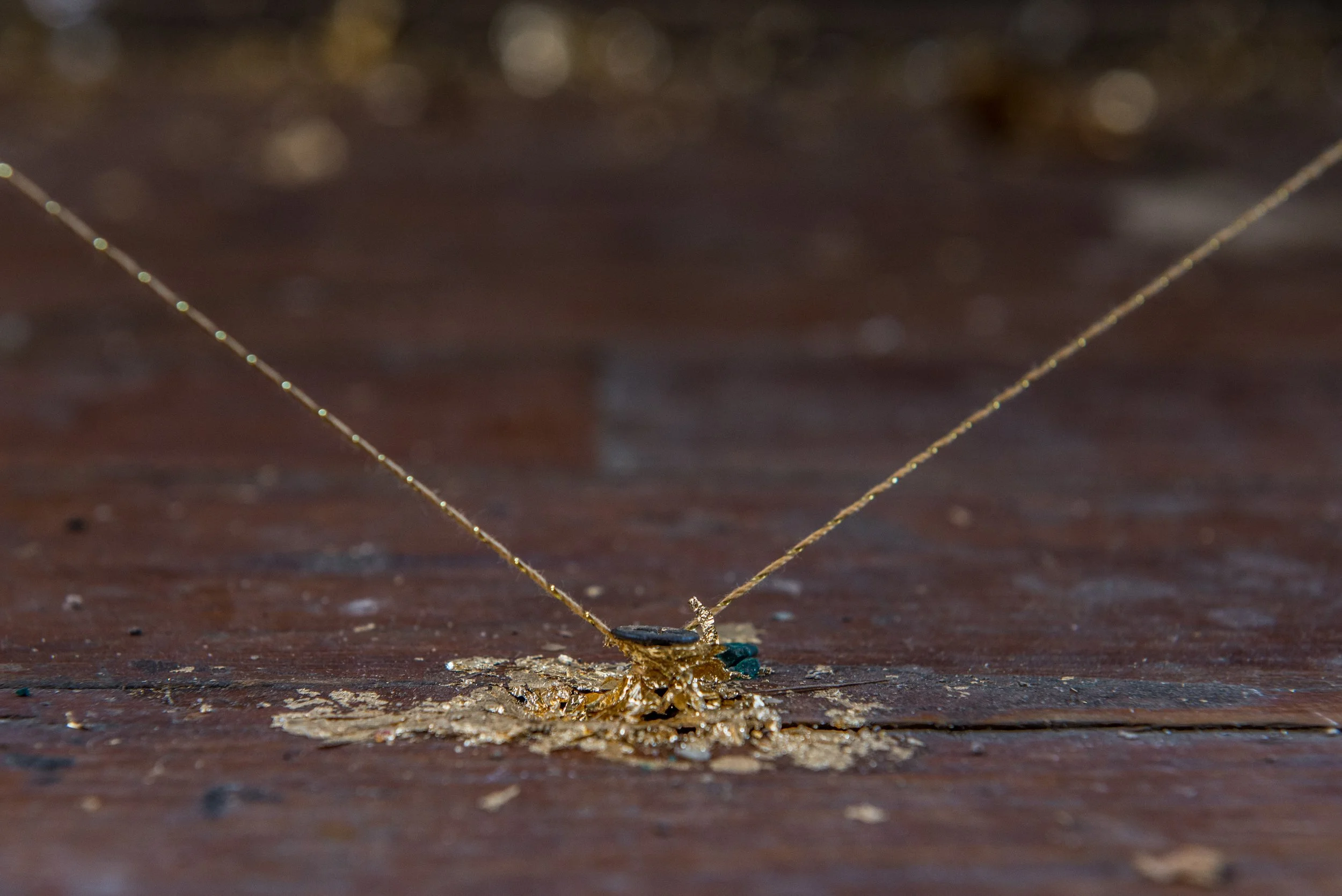 Porch Party 081517-110.jpg