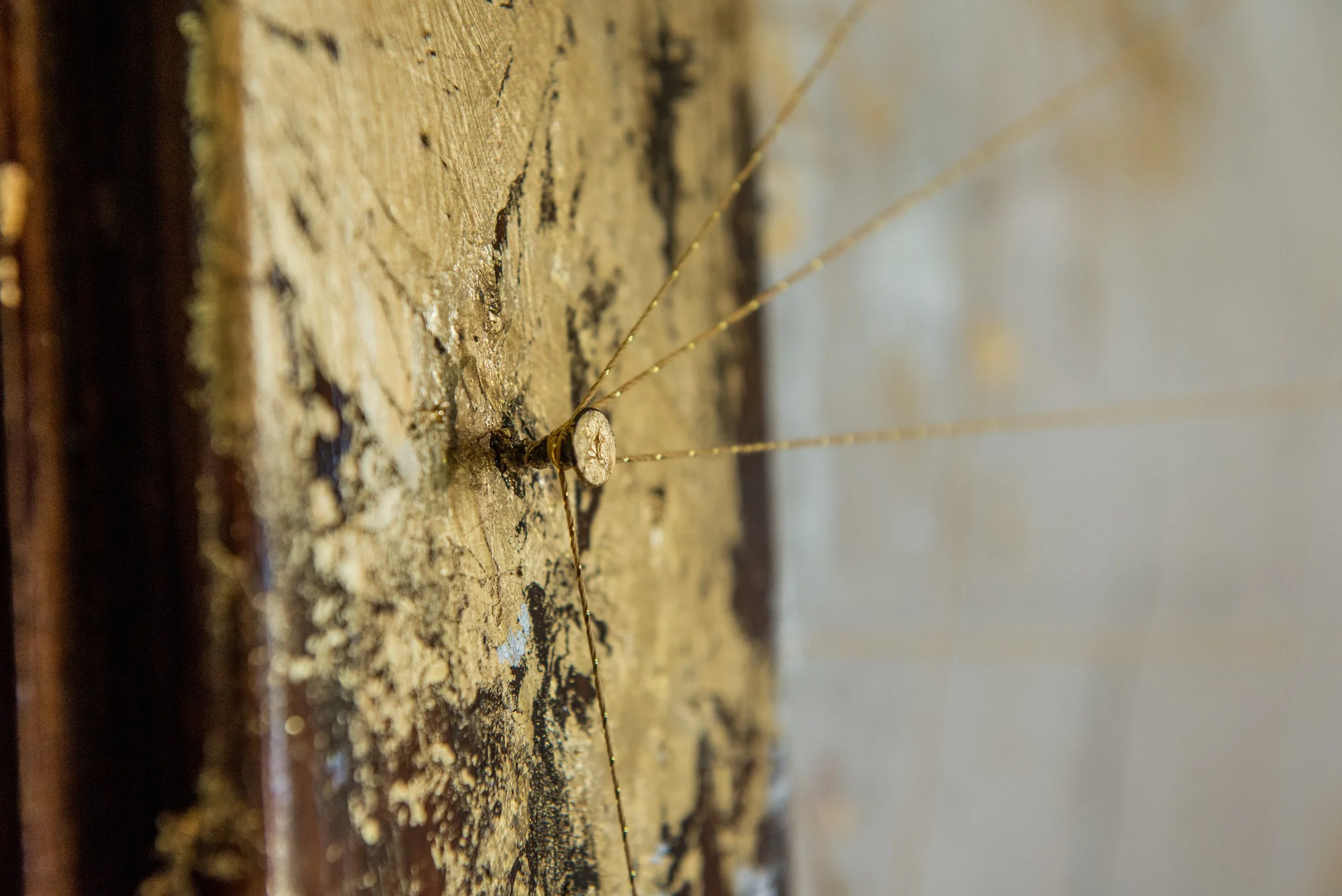 Porch Party 081517-107.jpg