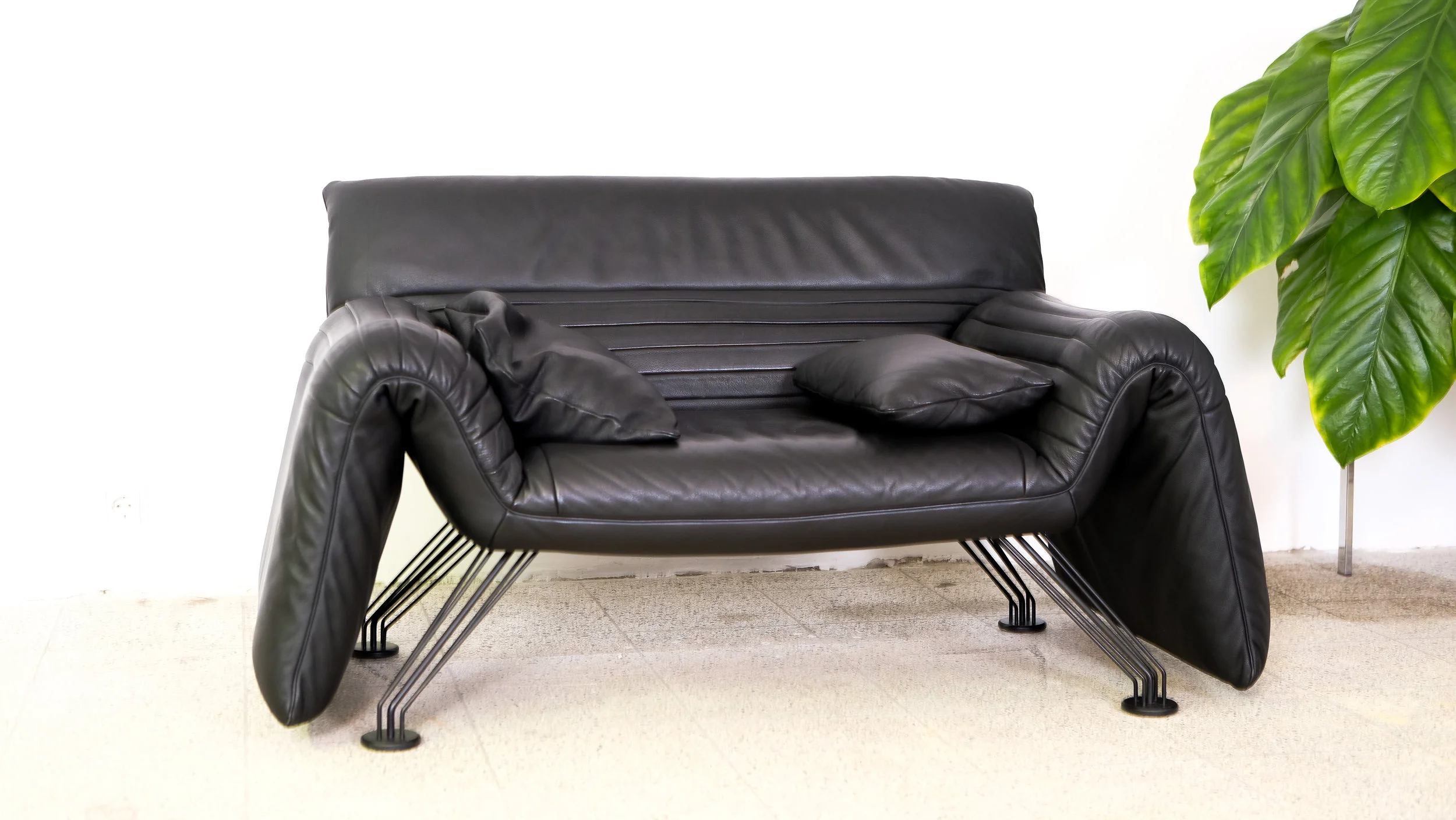 DSCF9935-2.jpg