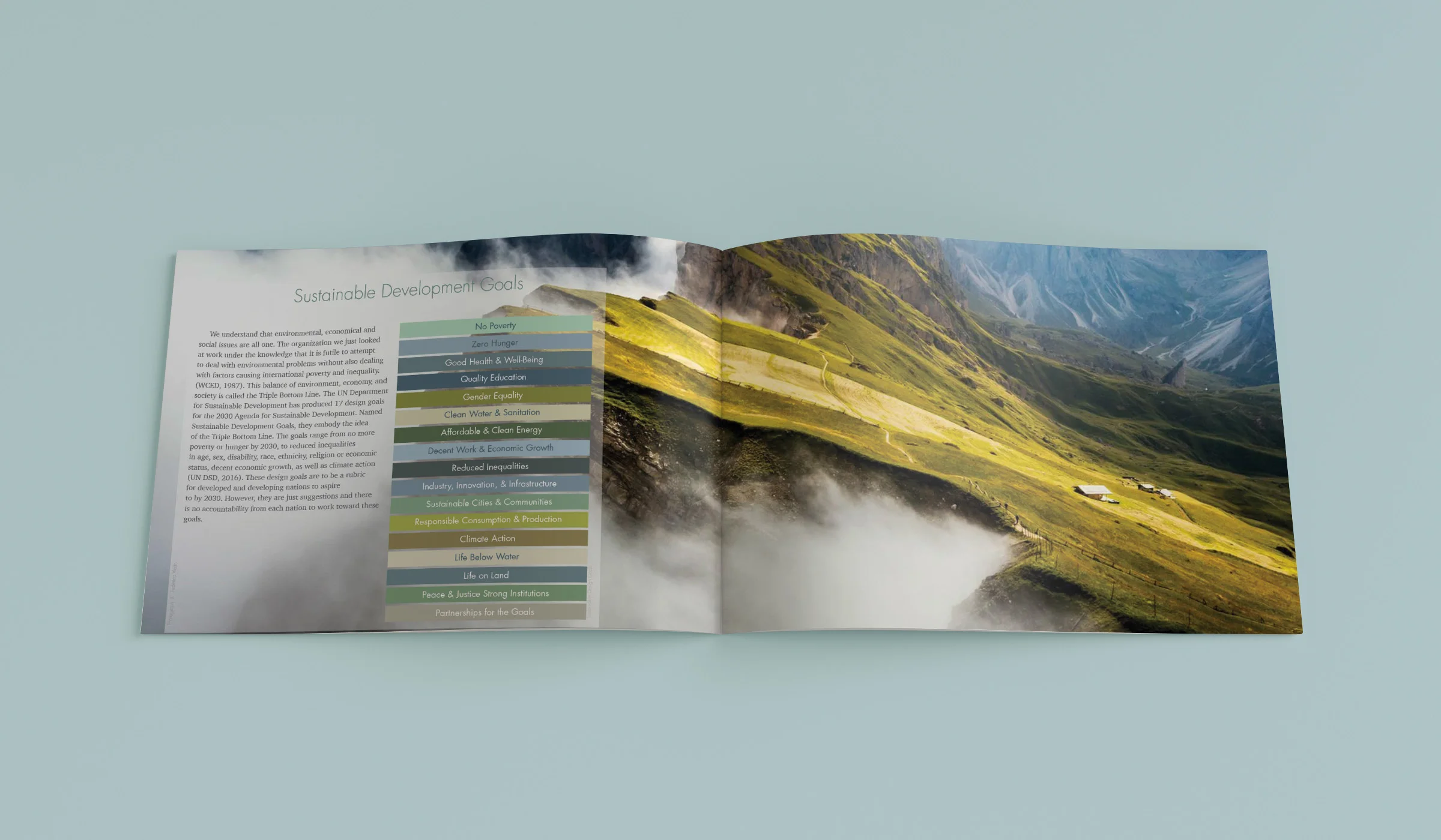 UN Sustainable Development Goals