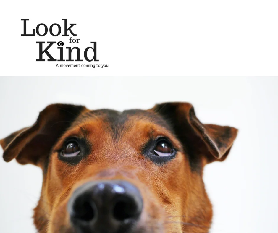 Look for Kind..Join us!