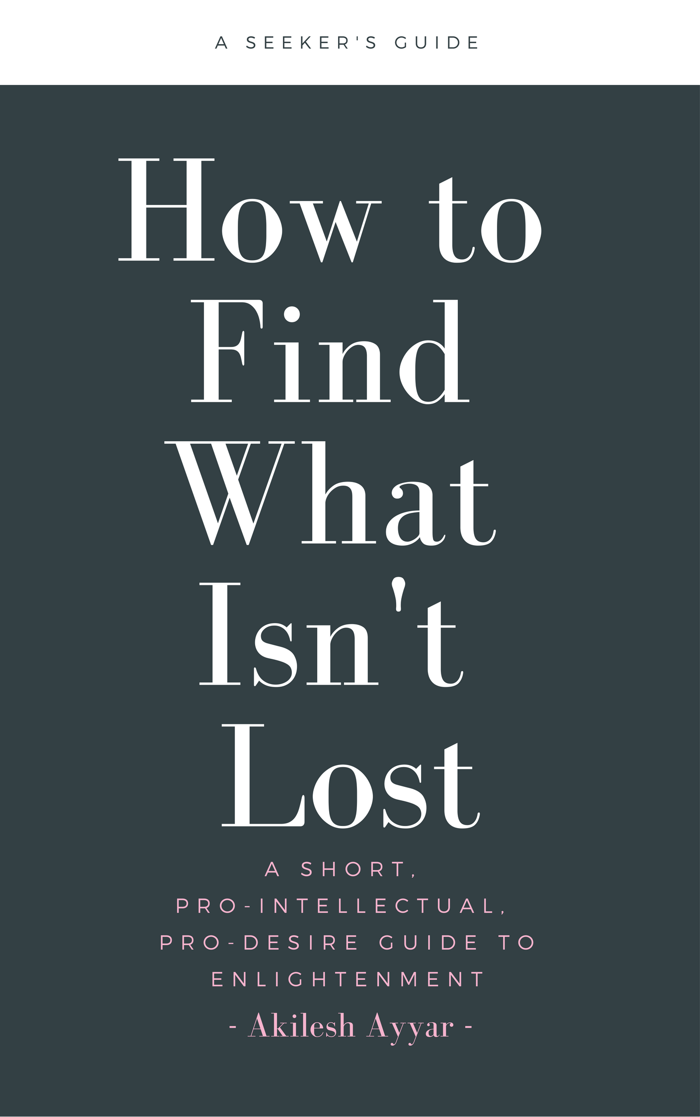 Cover - PNG - How to Find What Isn't Lost.png