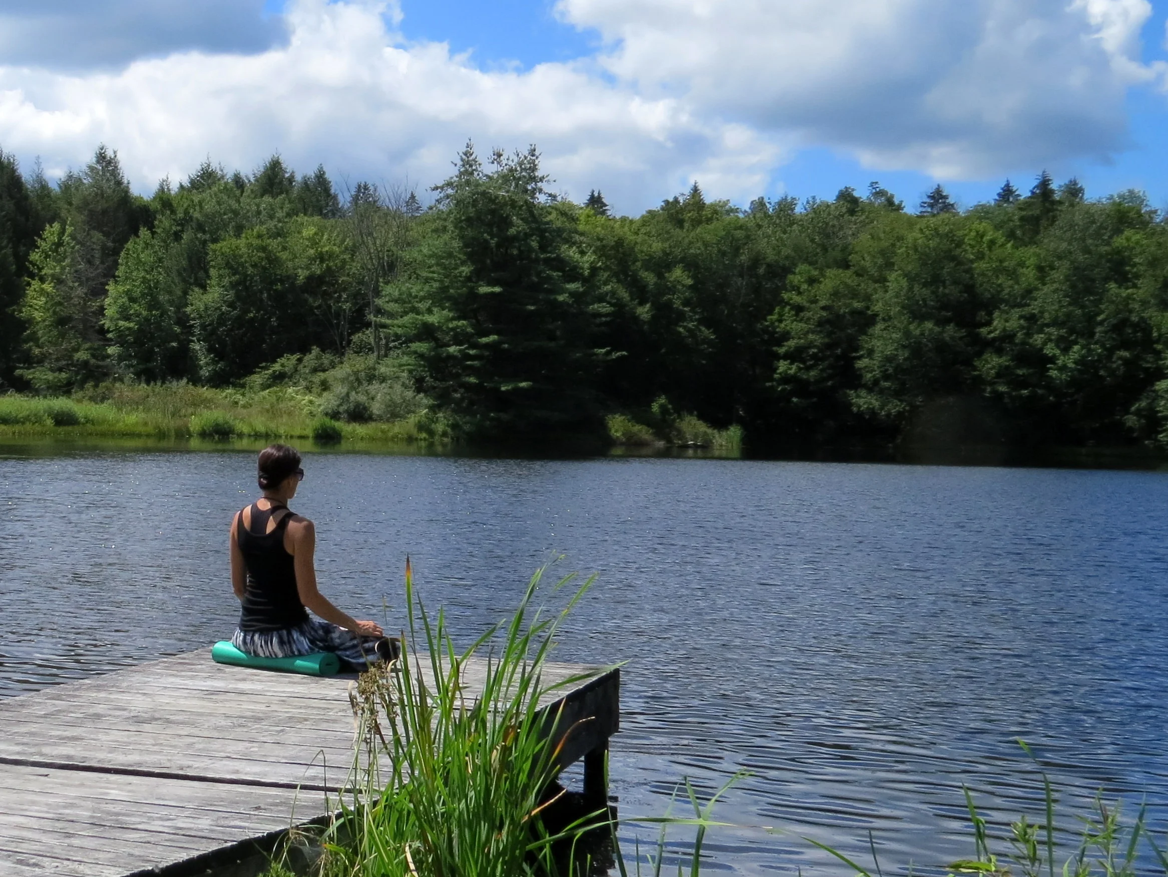 Introduction to Meditation (donation class)