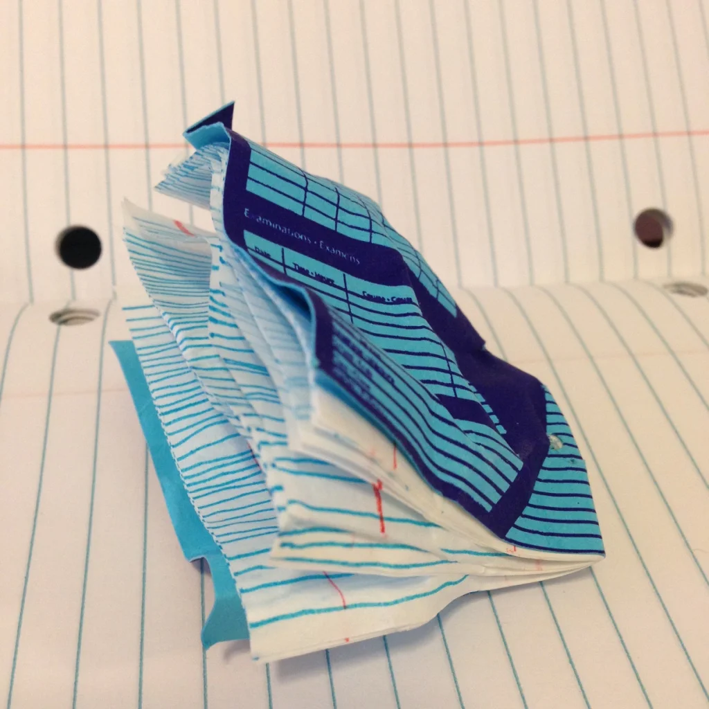 mini Cahier Canada exercise book
