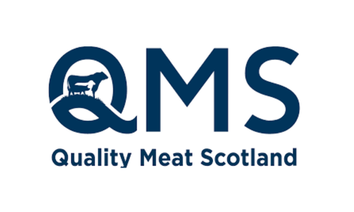 QMS logo with a stylized sheep and the text 'QMS' and 'Quality Meat Scotland' below.