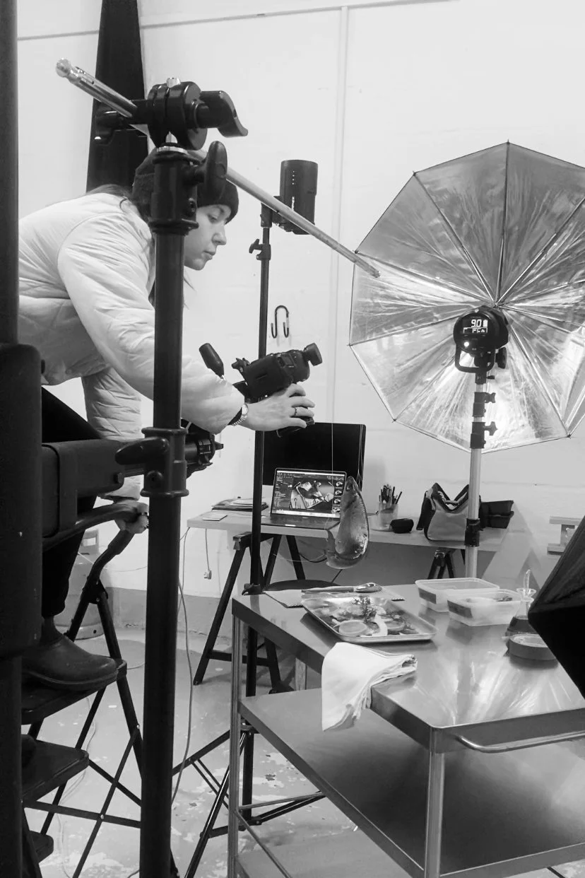 A person working in a photography studio with professional lighting equipment, a laptop, and a glass of water on a table, setting up a photoshoot.