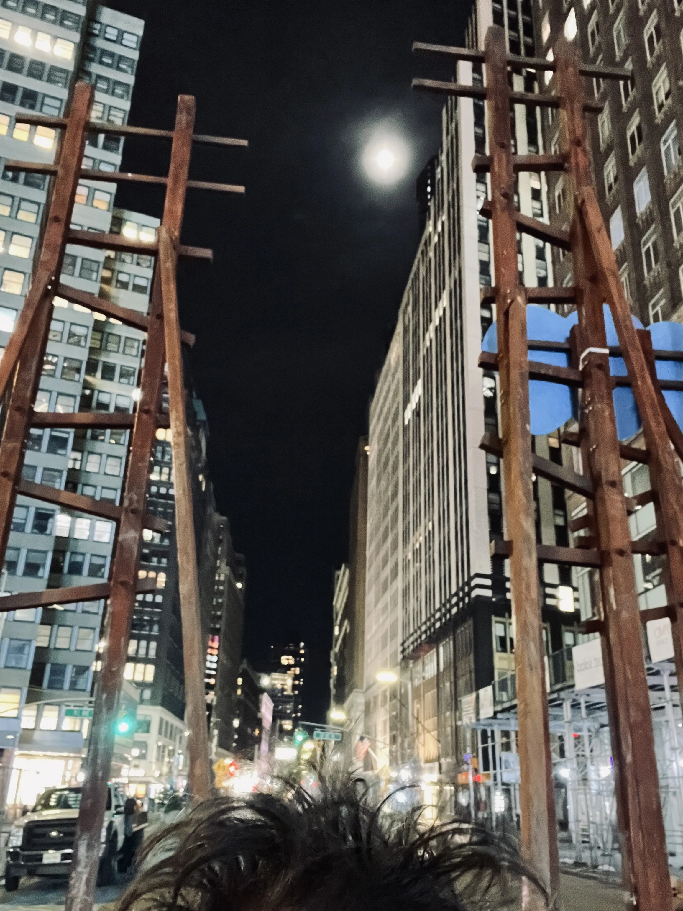 A526E1CE-4FA0-4819-9BA9-9432366A3DB6_1_201_a.jpeg