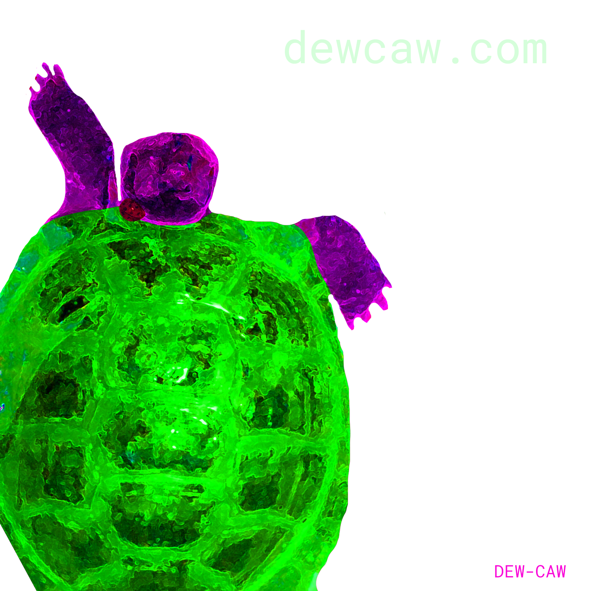 tortwatermark.png