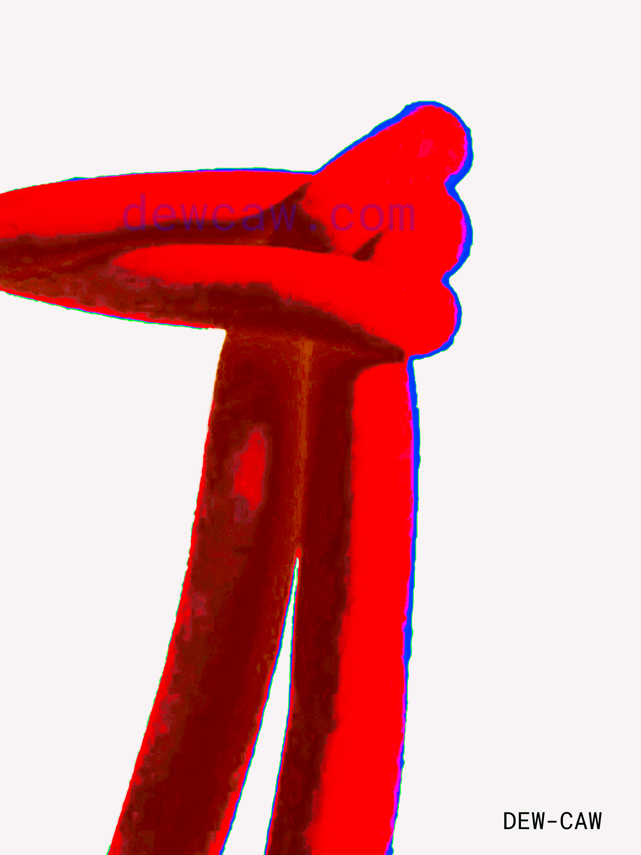 bandwatermark.png