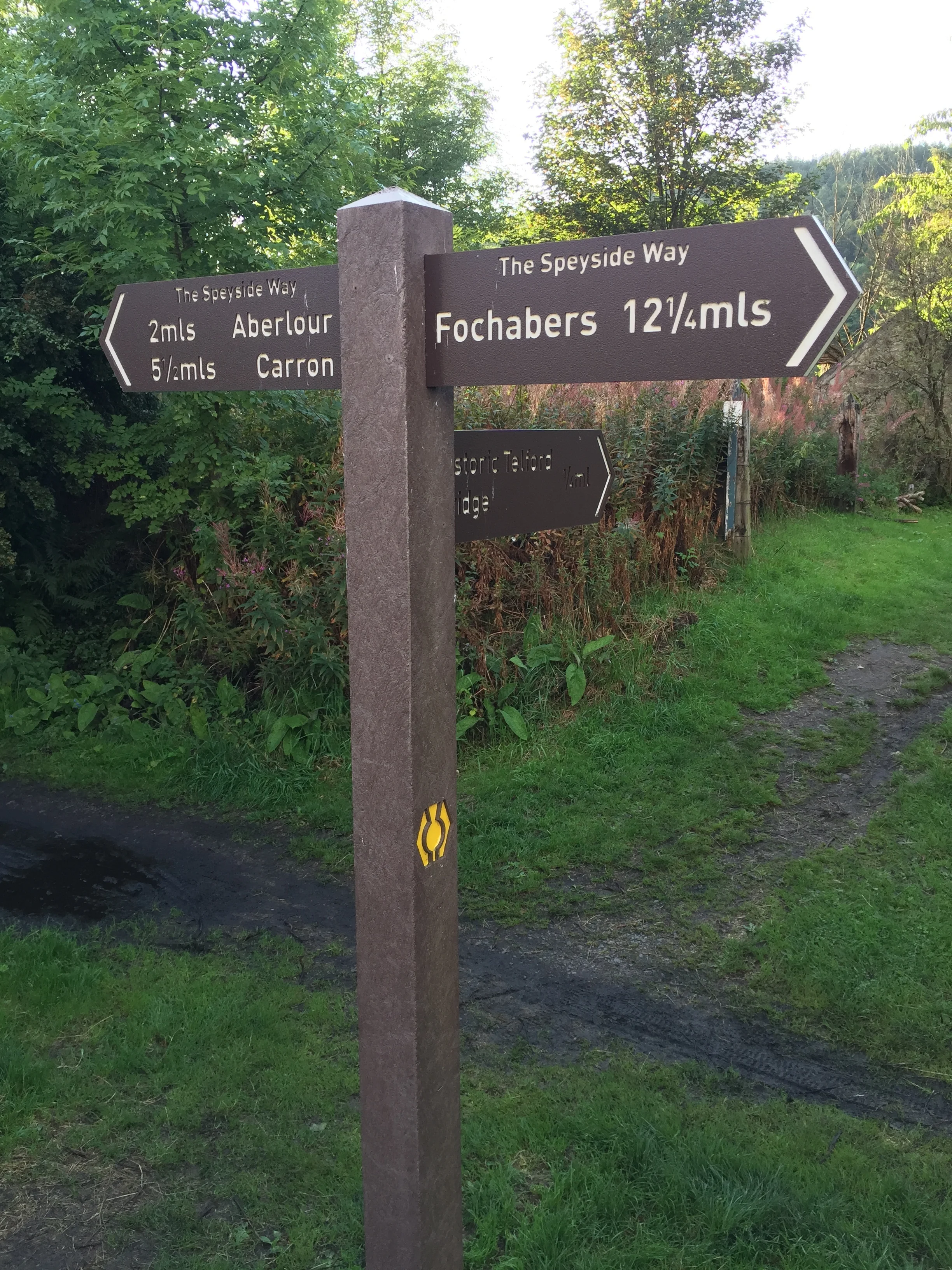 A prescription for better health: go alfresco