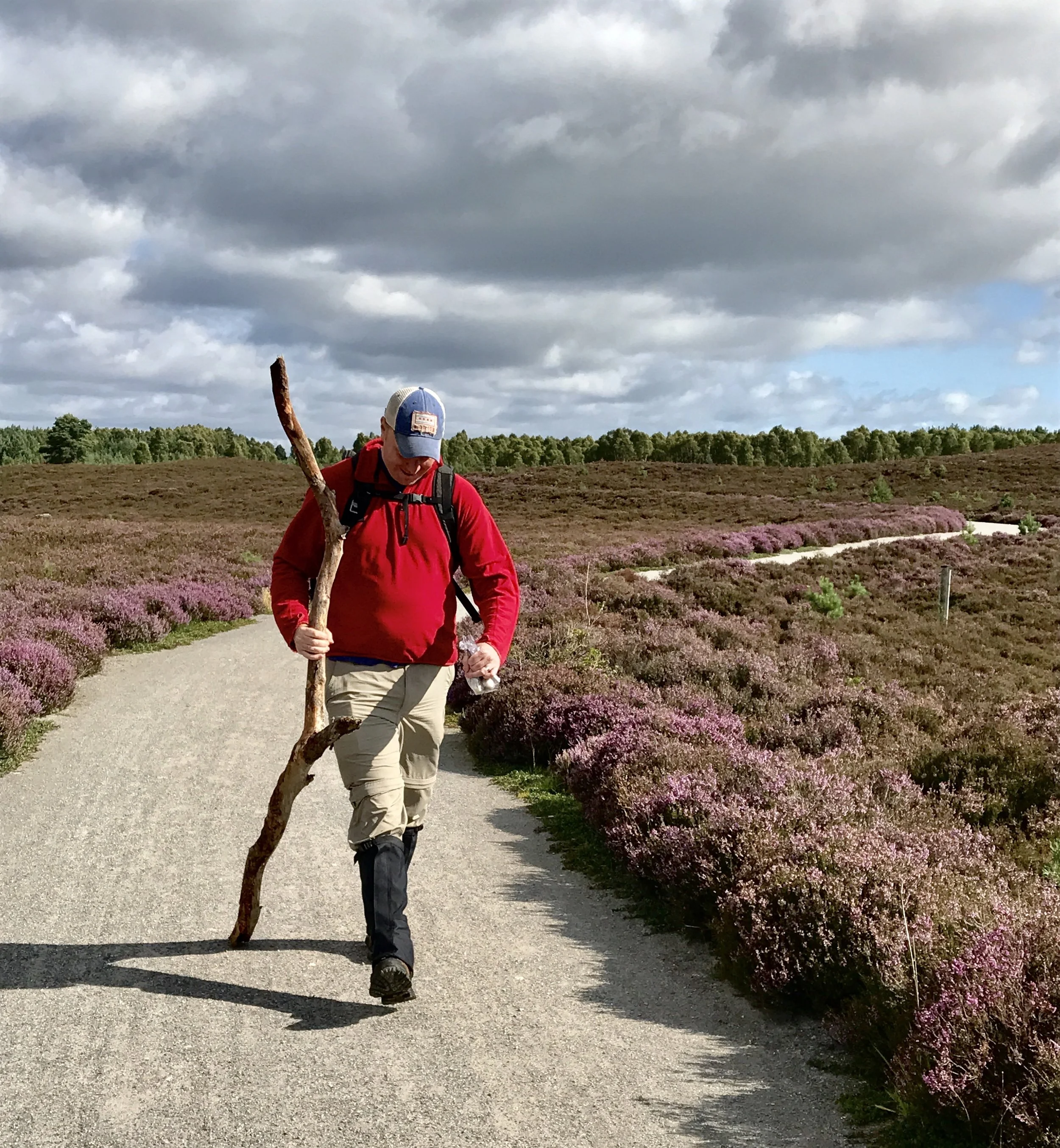 Give Your Ideas Some Legs: The Positive Effect of Walking on Creative Thinking