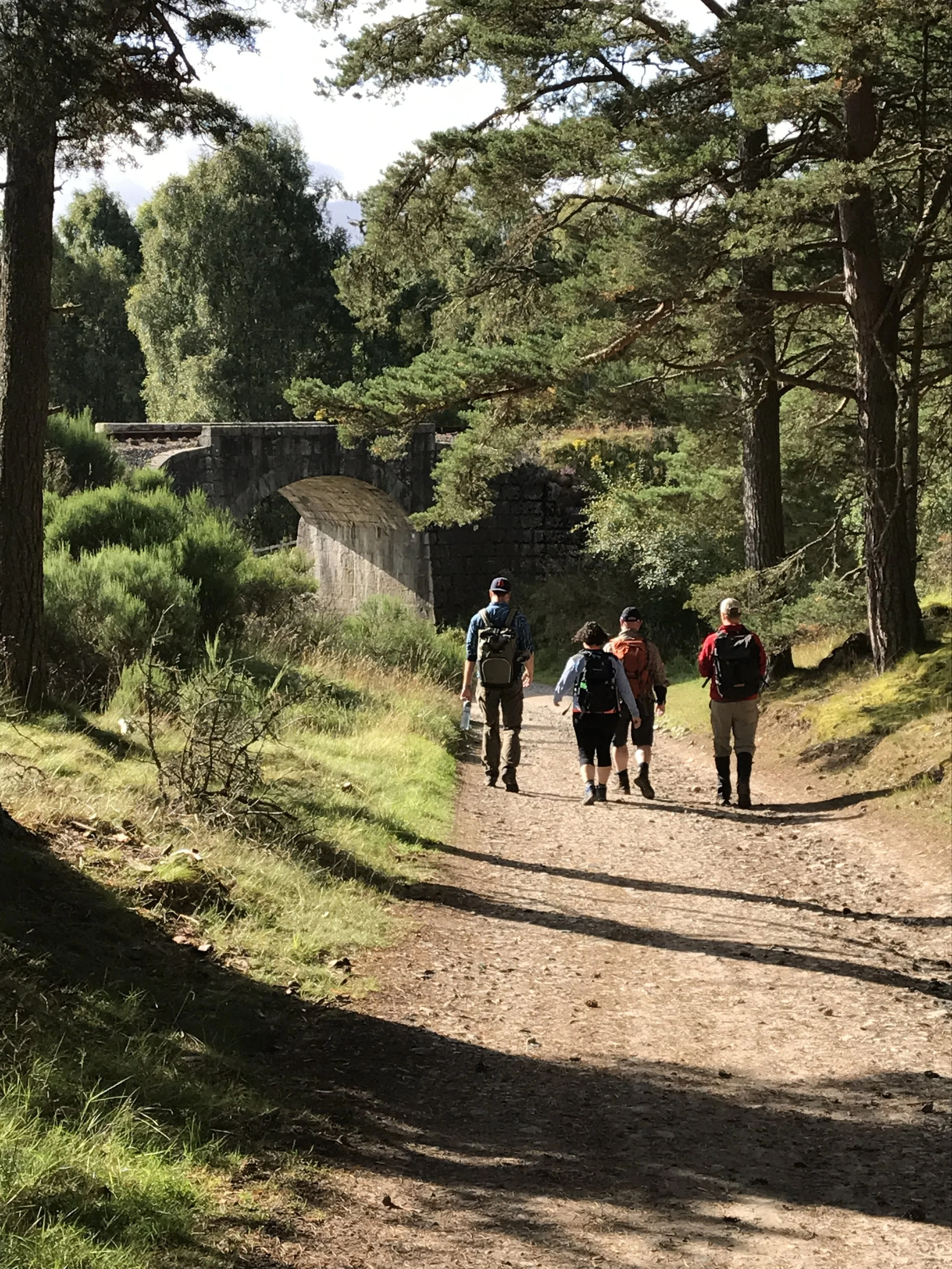 New Research Shows That Walking Improves Creativity