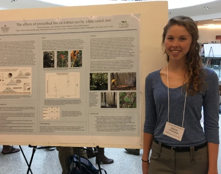 Hanna Peterman Tyson Undergraduate Fellow '17 WashU' 19 Project: Deer use and meningeal worm prevalence in burned and unburned forest plots