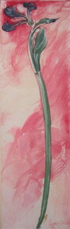 Long flower on pink background