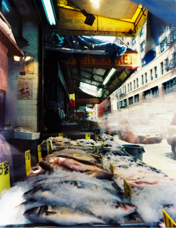 Fish Market, Mott Street between Hester and Grand