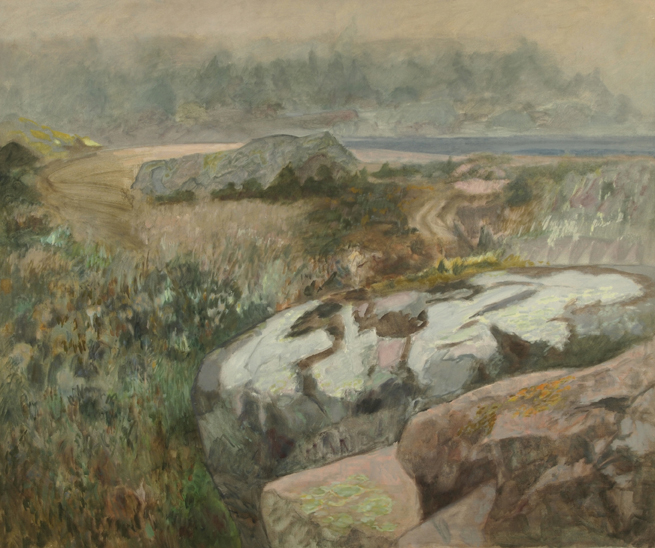 Landscape with rocks and vegetation