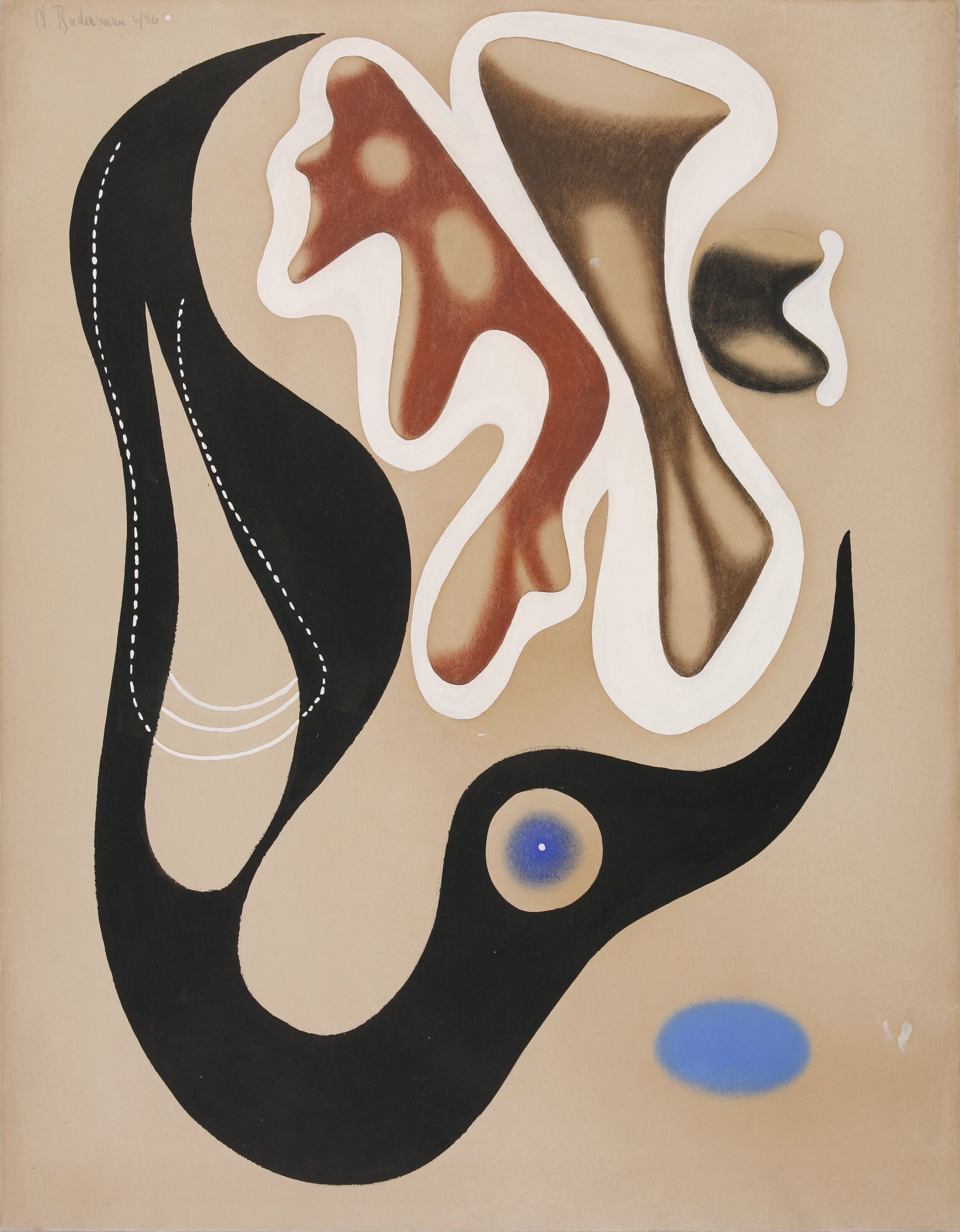 Biomorphic abstract work on paper of floating shapes in black, brown, white, and blue