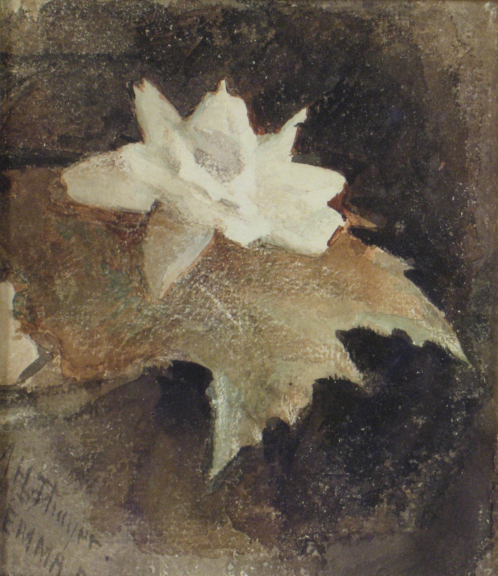 Watercolor of a white waterlily with a brown-green leaf on a dark brown background