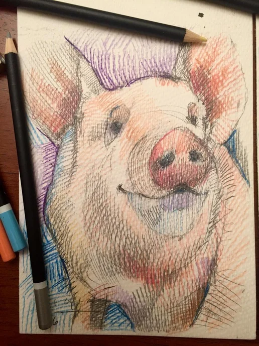 Tim Jaeger, Pig, 2016