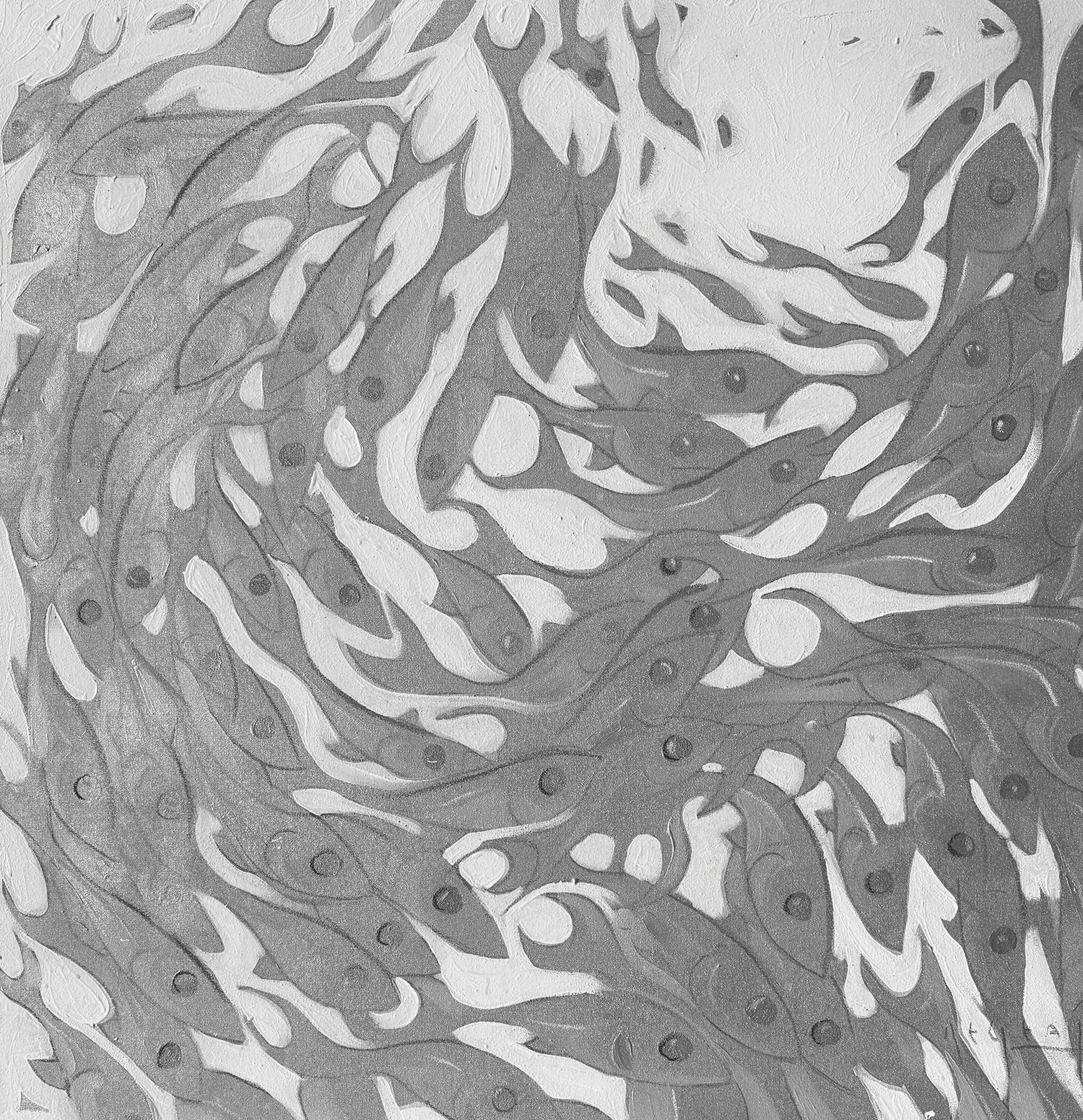 TIM JAEGER, SILVER SWIRL, 2025
35" x 35", acrylic + oil on canvas
available @ Indigenous Sarasota, FL