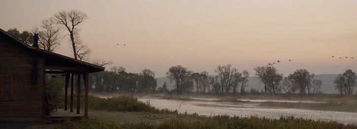 Screen Shot 2024-10-09 at 6.46.00 AM.jpeg