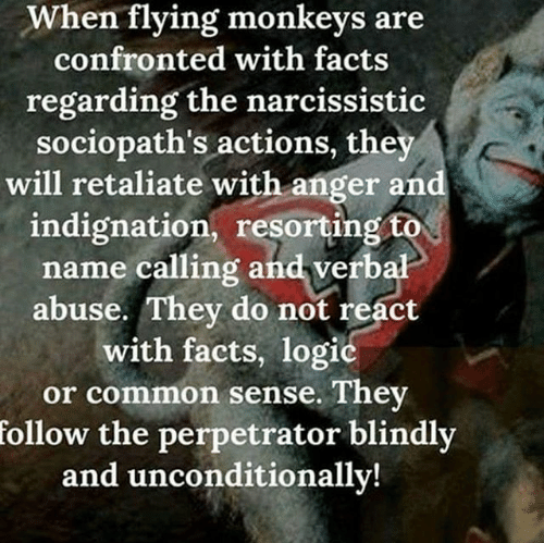 when-flying-monkeys-are-confronted-with-facts-regarding-the-narcs-actions.png