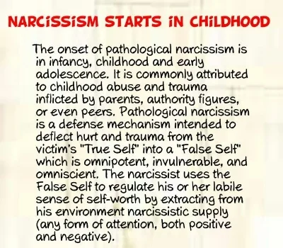 narcissism starts in childhood.jpg