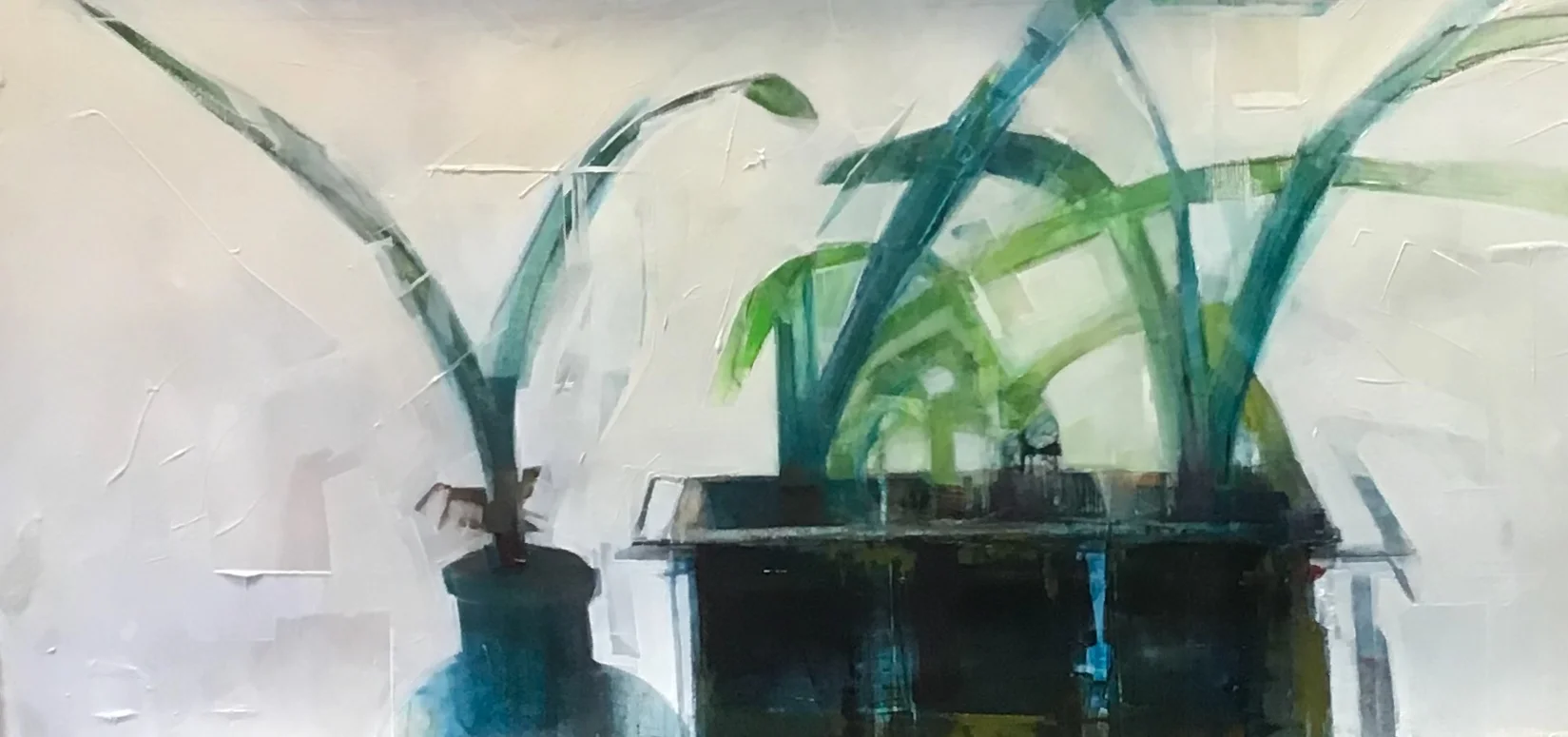 Amaryllis