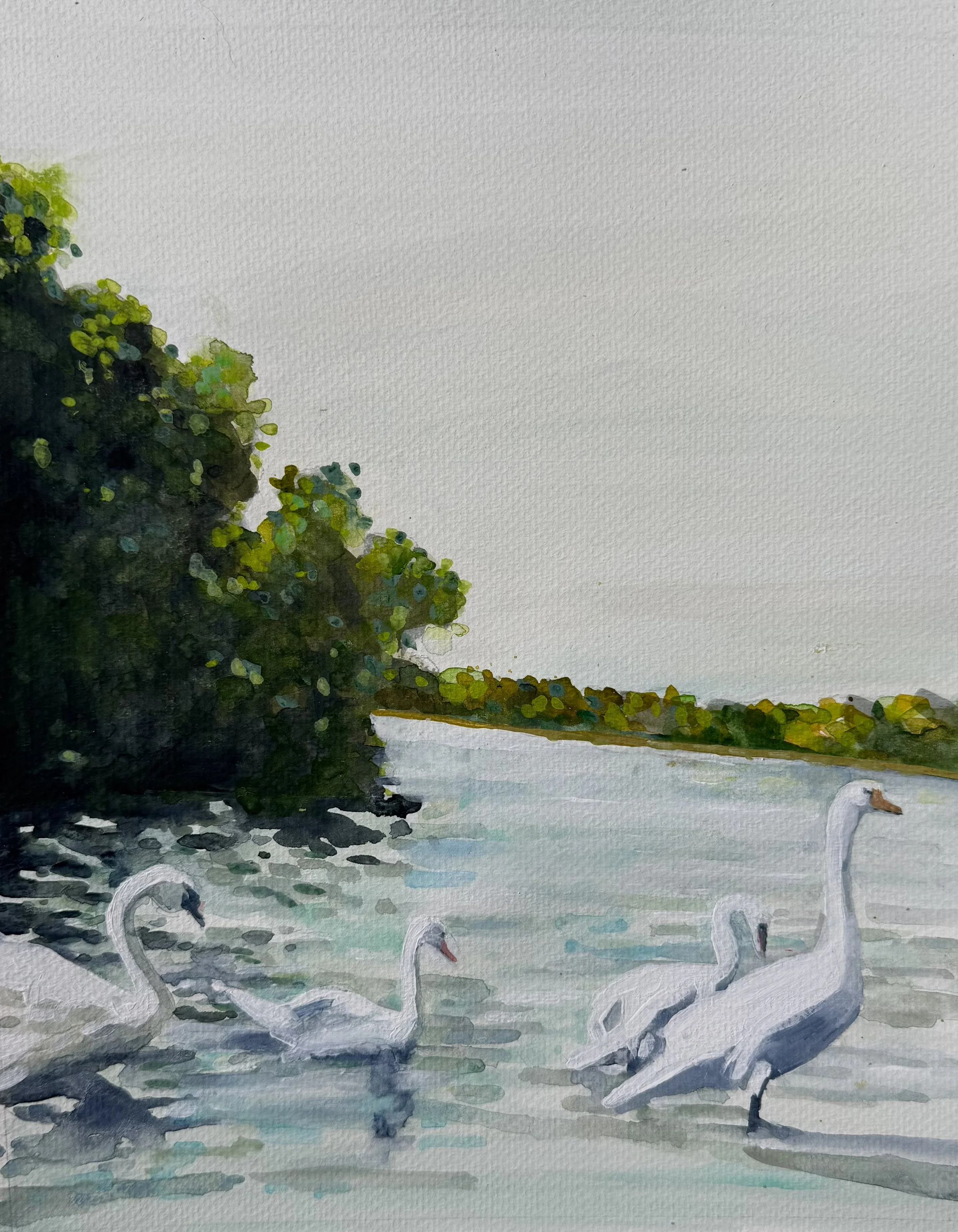 Swan Song