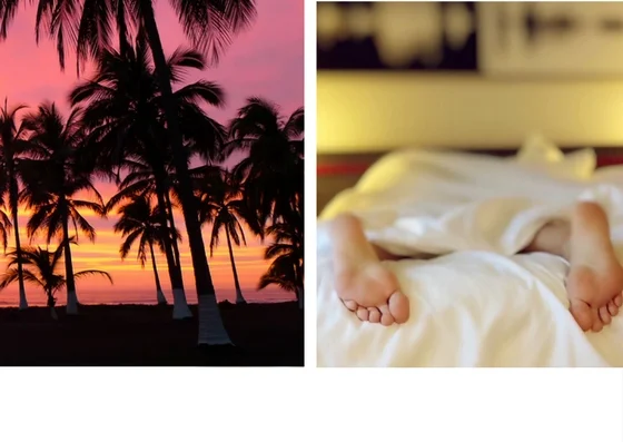 The Summer Student You Wish You Were VS The One You Are