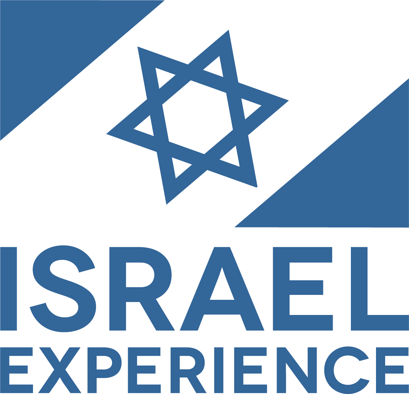 IE STUDENT PROGRAM LOGO.png