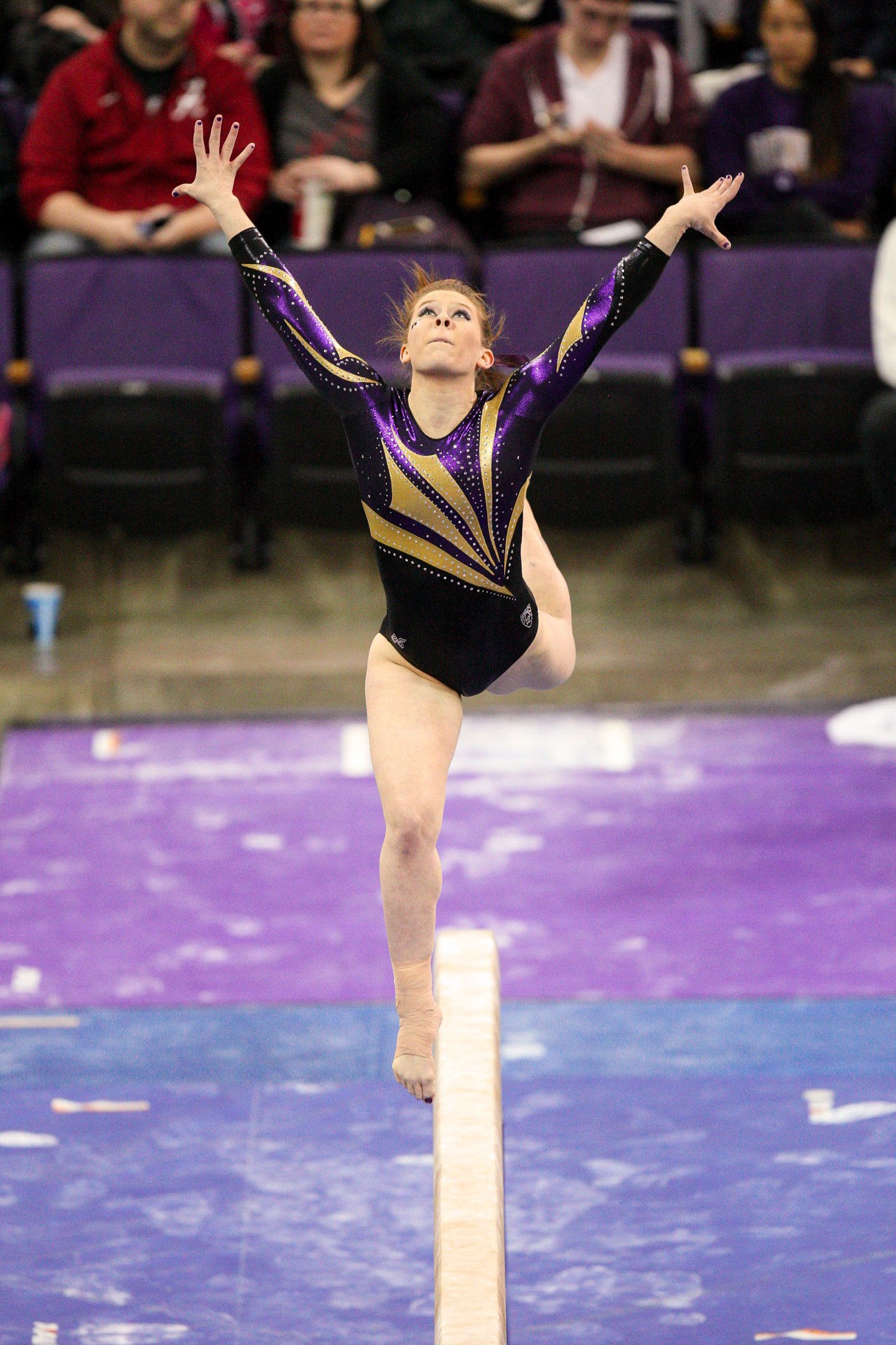 University+of+Washington+Huskies+Gymnast+Jackie+McCartin+on+Beam.jpg