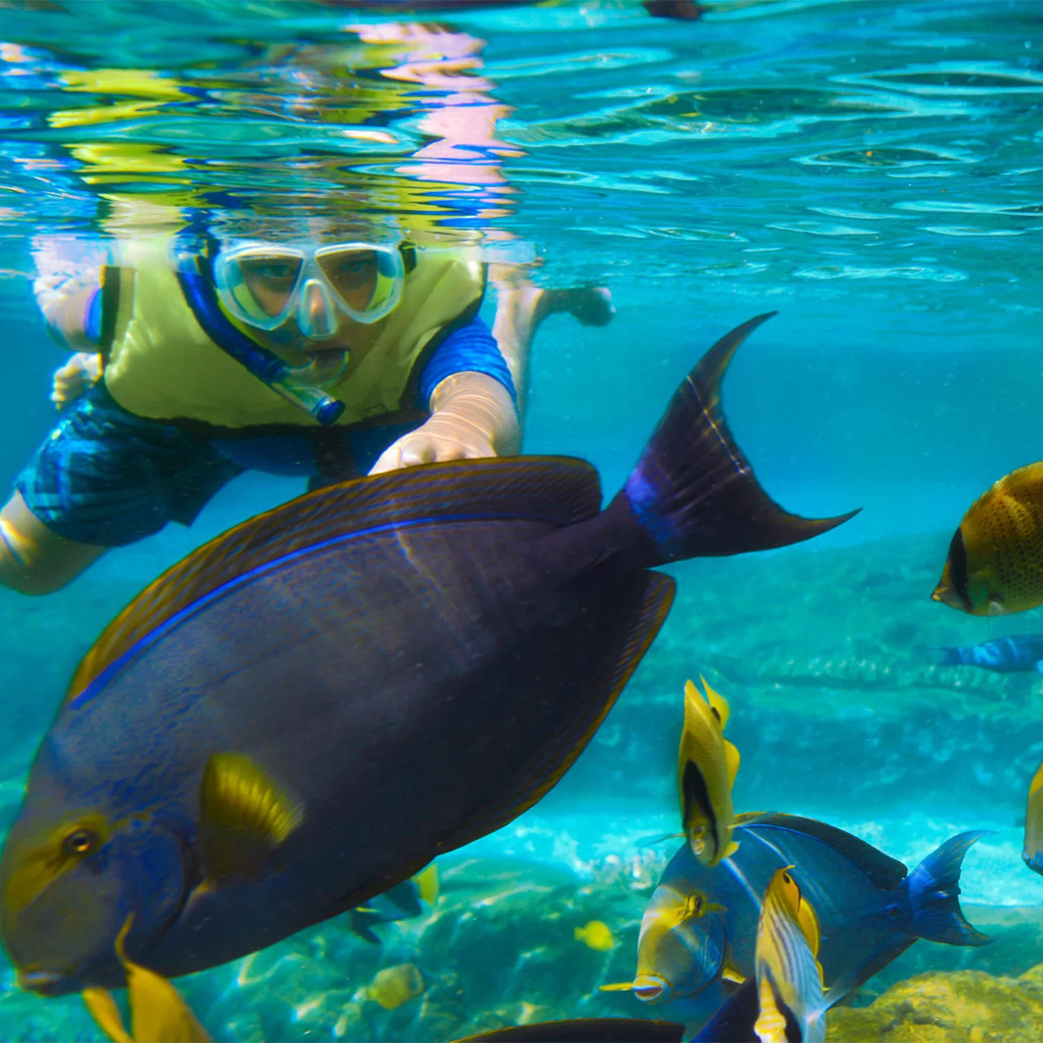 snorkeling_square.jpg