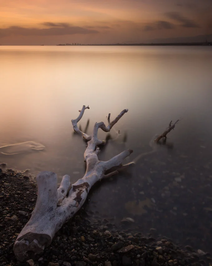 SURREAL DULCEDINEM