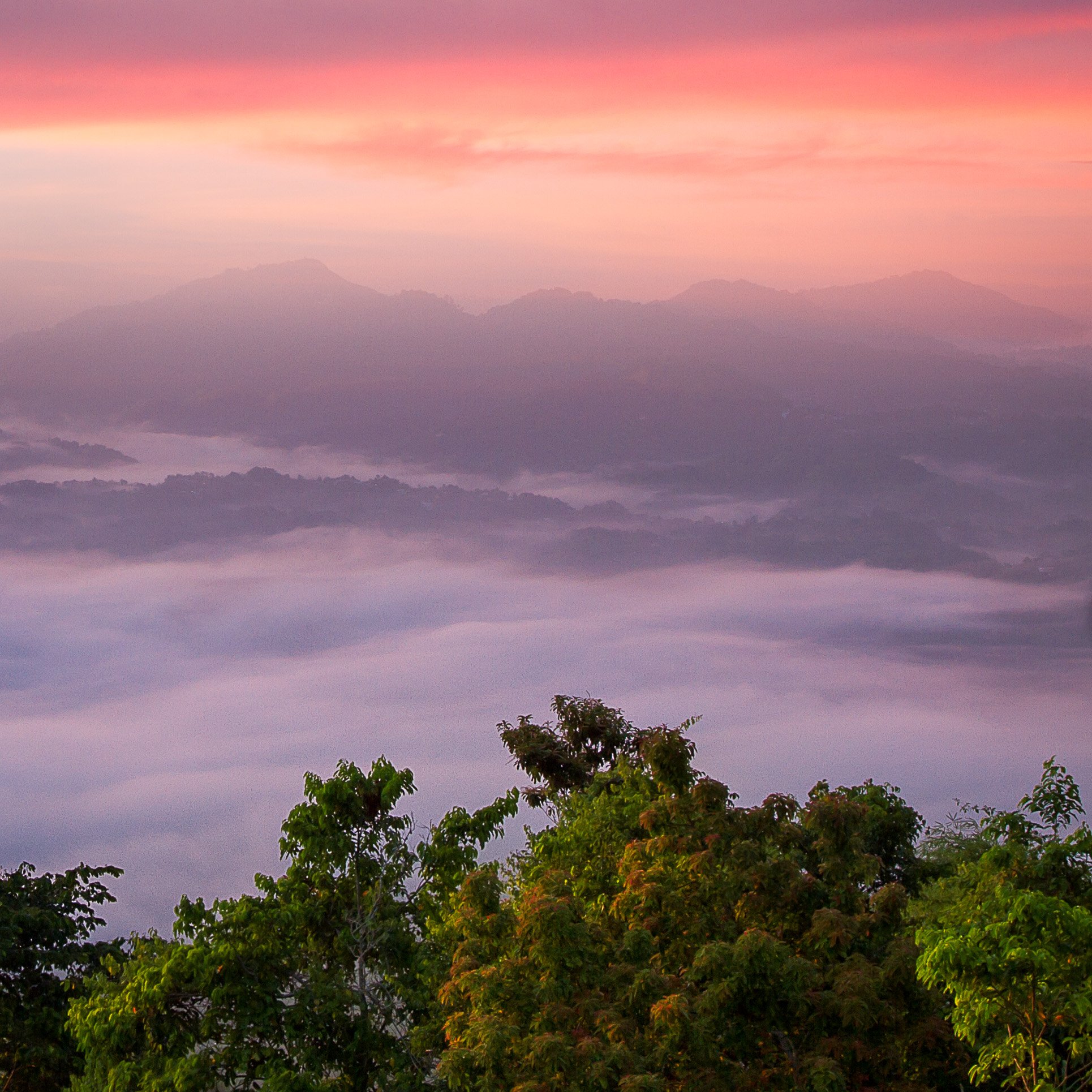 INVERSION