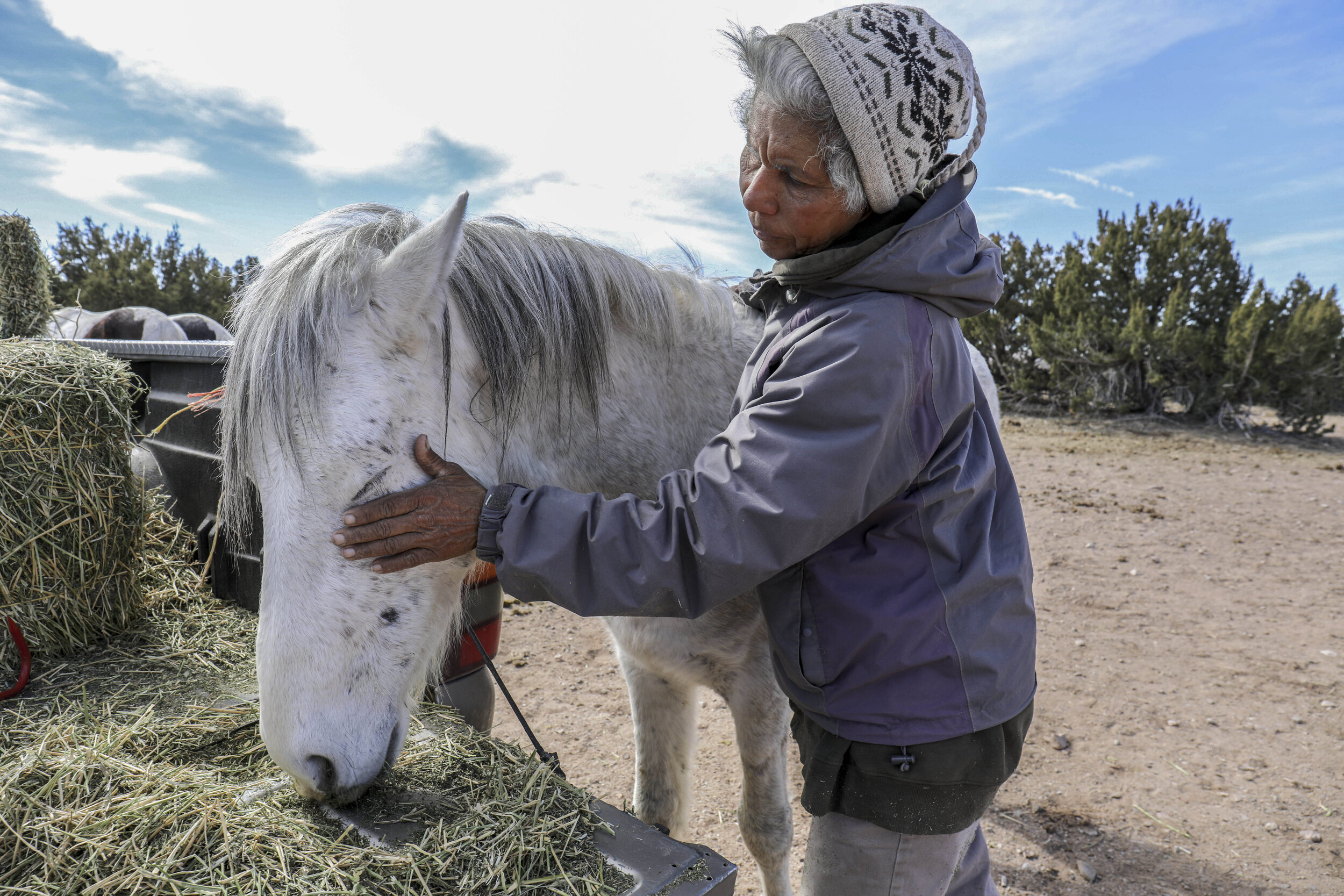  Adelina Sosa, a longtime volunteer for the nonprofit organization Placitas Wild, pets one of the free-roaming horses she cared for on a daily basis outside of Placitas, New Mexico, in February. A month later, Placitas Wild had to find new homes for 