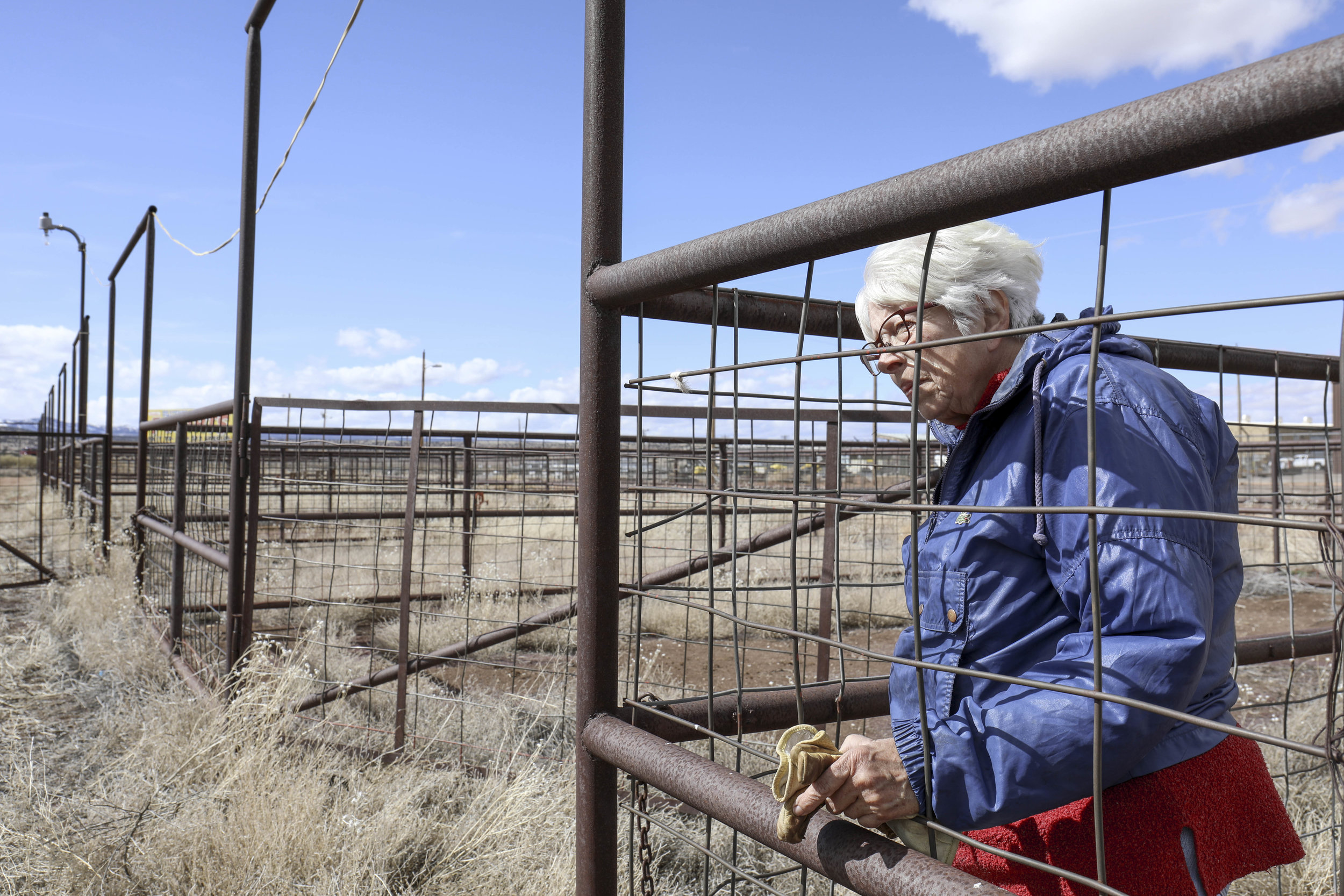  Sandy Johnson, looks  out at the pens at Mustang Camp in Milan, New Mexico, on March 3. Mustang Camp agreed to train and assist in finding adoptive homes for 54 of the horses from Placitas Wild.     
