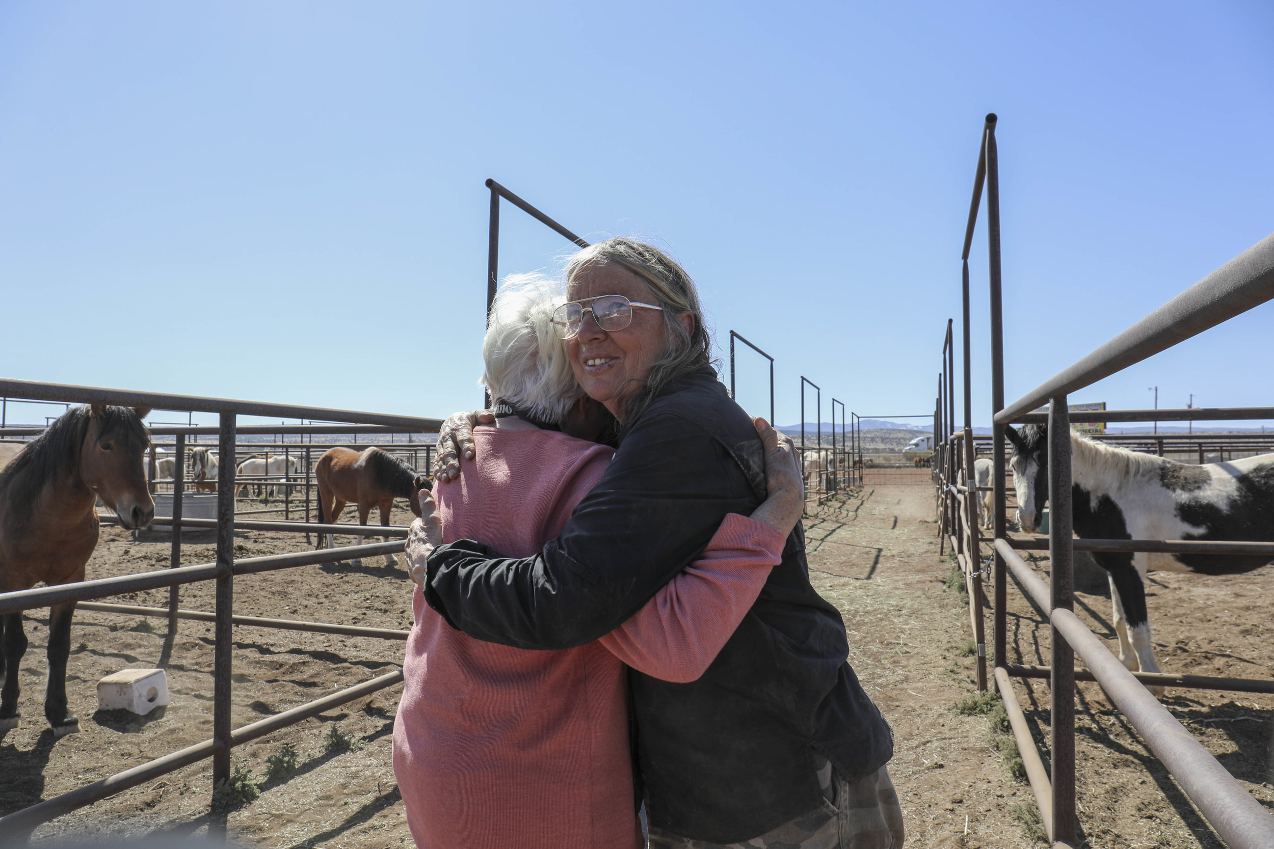  When the horses arrived at Mustang Camp, Johnson thanked Patricia Barlow-Irick, its founder. Mustang Camp typically receives horses from BLM holding pens, but the federal government shutdown in December and January slowed their supply of BLM mustang
