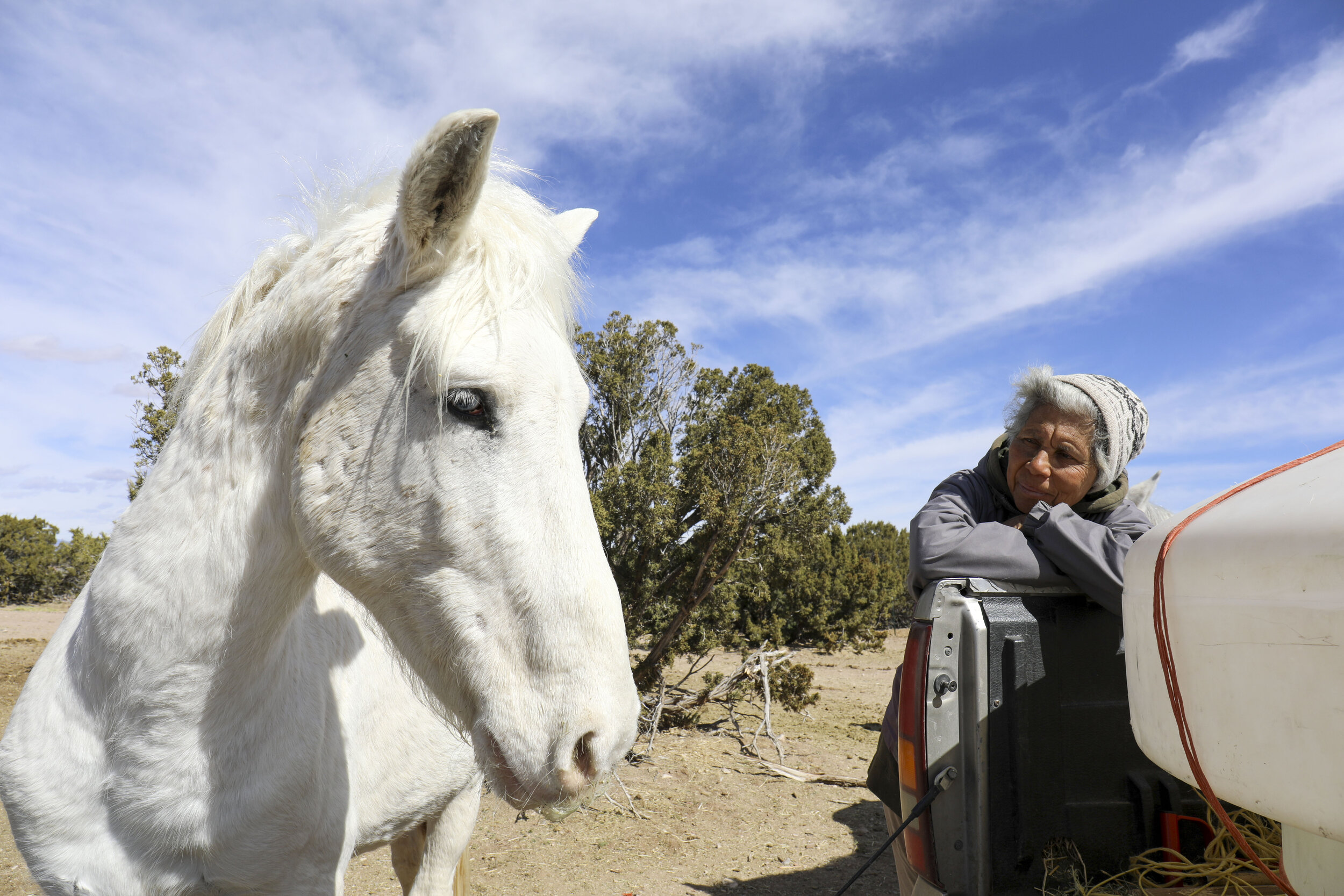  Adelina Sosa looks fondly at one of the horses she has taken care of out on the San Felipe preserve. The horse is staring at the left-over grain in the truck bed, to the right a giant water transport jug can be seen which is used by Sosa to deliver 