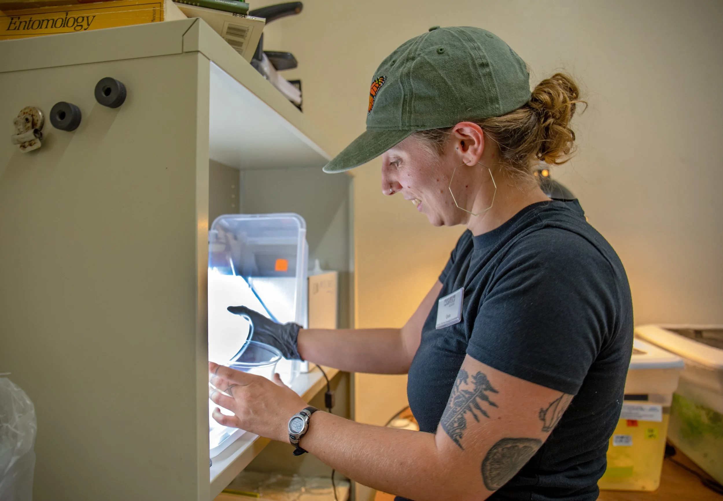 Sacramento Mountains Checkerspot Butterfly__Diana Cervantes 1310.JPG